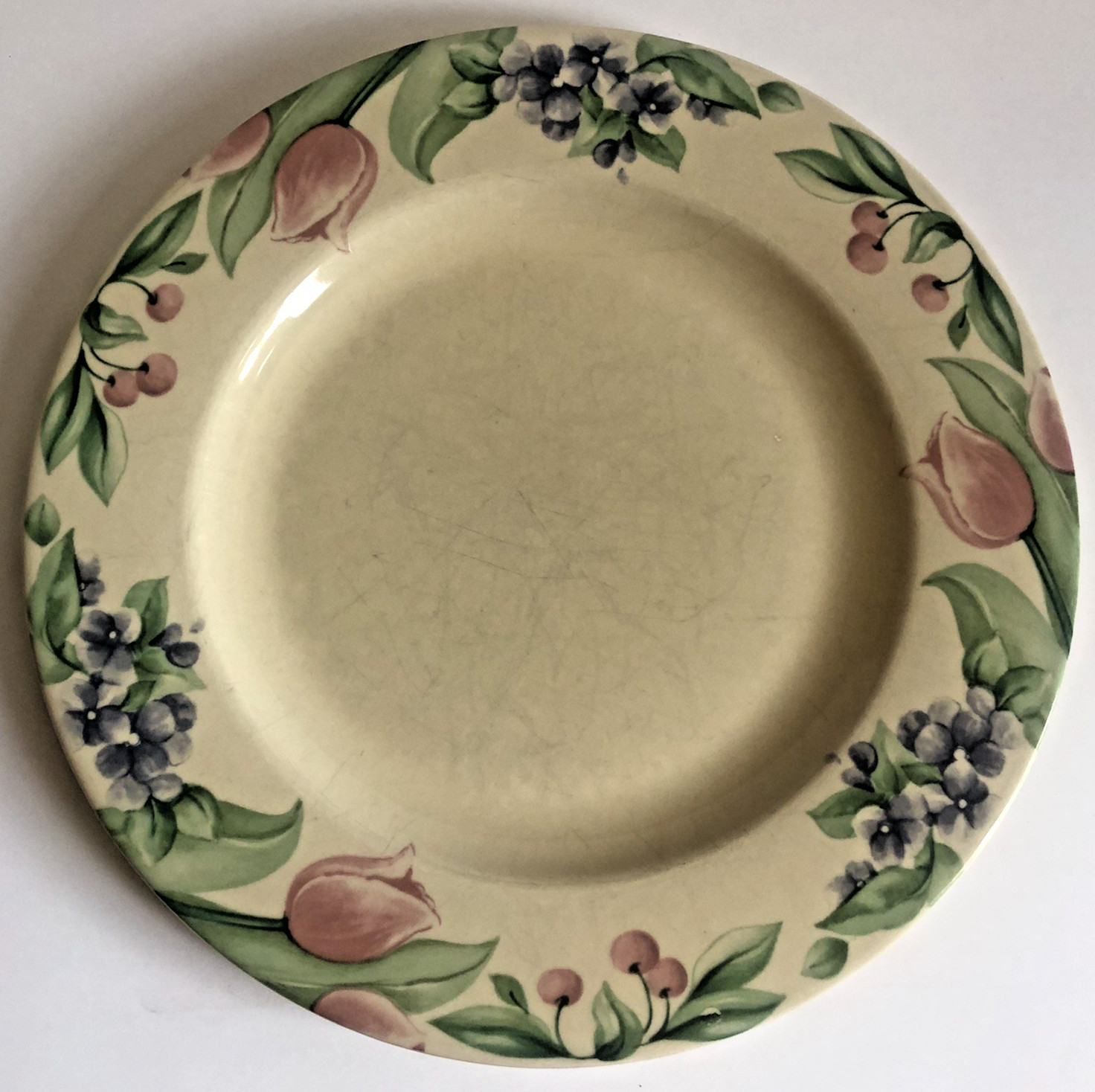 Pfaltzgraff Garden Party Impressions Dinner Plate 10.5″ Sold Separate 8 Availabl