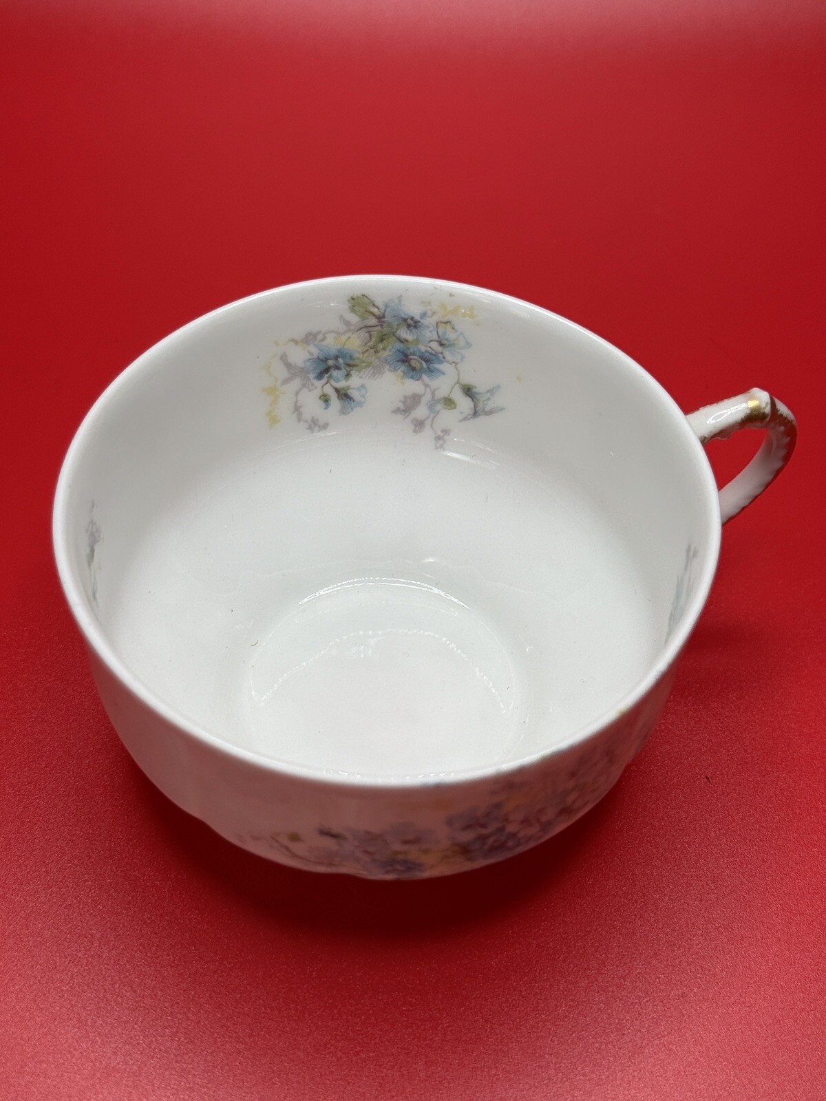 Antique Limoges Haviland France Hand-Painted Cup and Saucer Set, A.F. Wylie Mark
