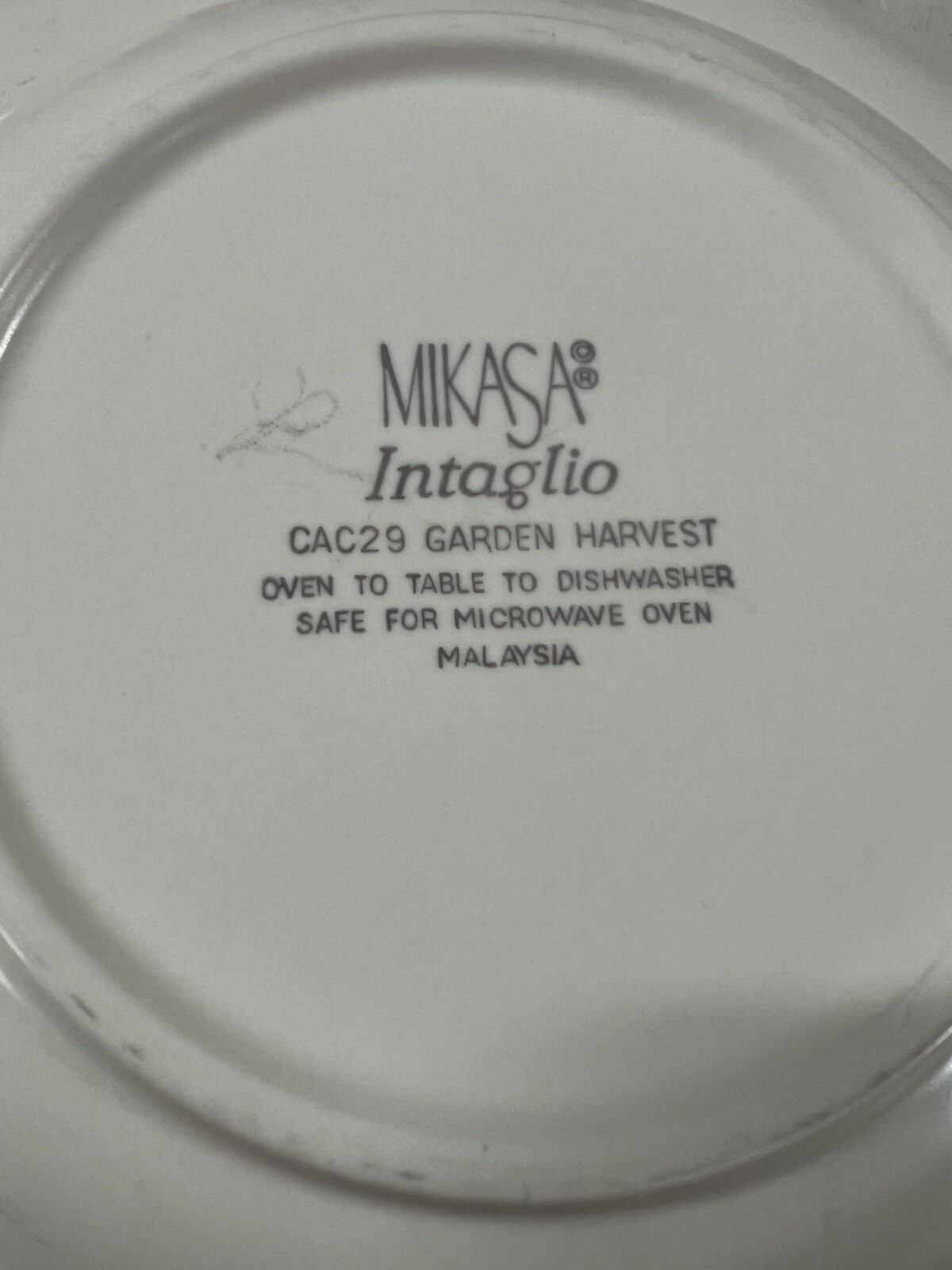 5 Mikasa Intaglio Garden Harvest Rimmed Soup Pasta Bowls 9 1/4″ Fruit and Leaves