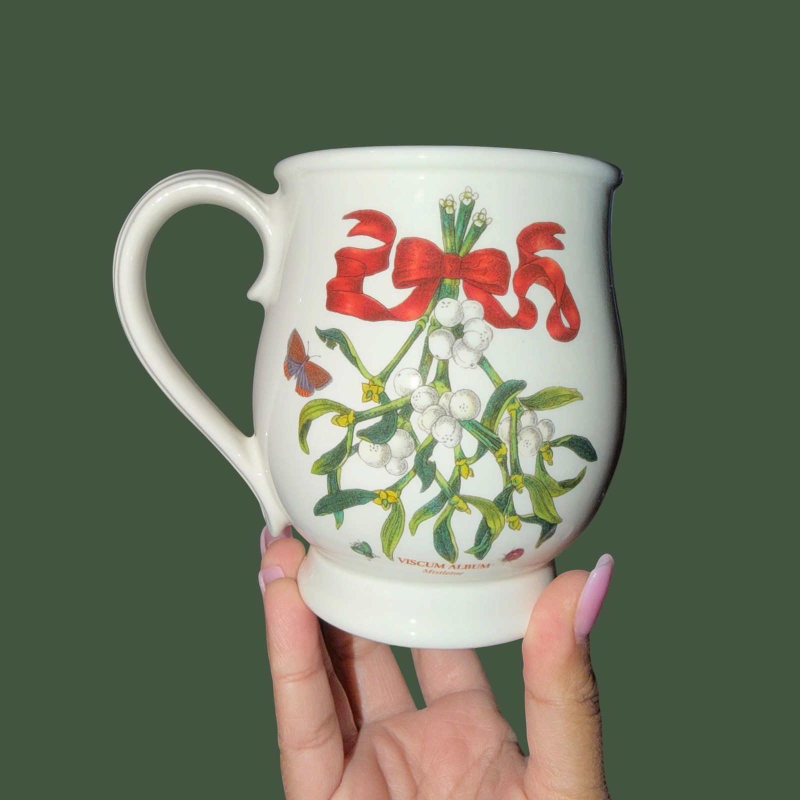 Portmeirion Botanic Garden Mistletoe Viscum Album Mug Cup Discontinued 4.5”