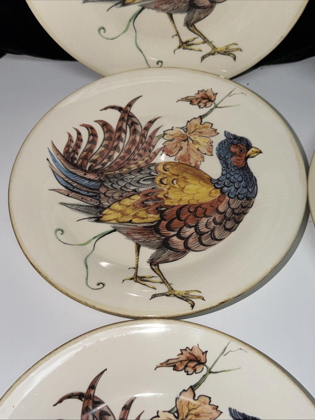 SET OF 6–Sur La Table PHEASANT 8.5″ Salad Plates ITALY FREE SHIPPING