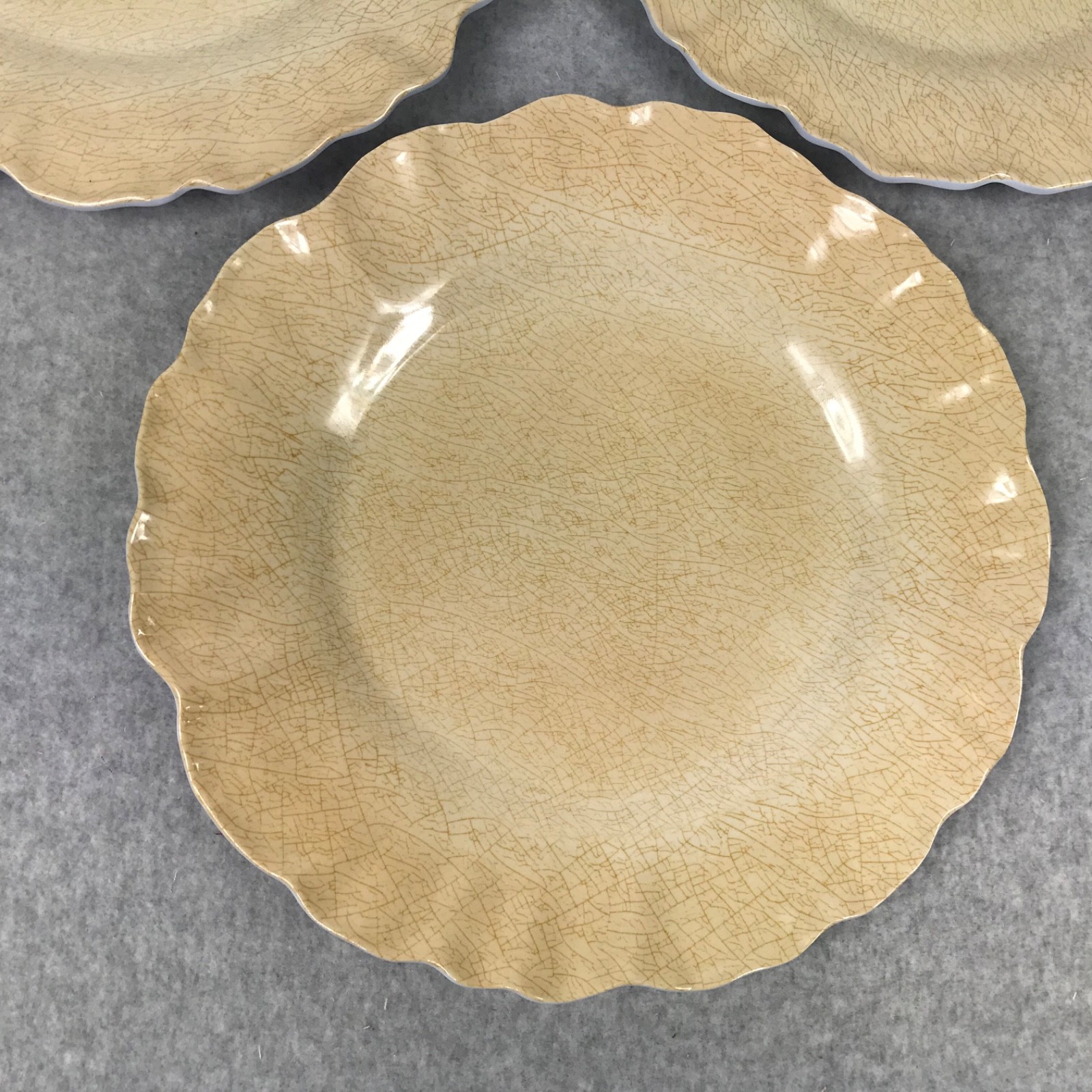 MERRITT Melmine Succulent Garden Mocha Dinner Plates Set of 6 Beige/Golden