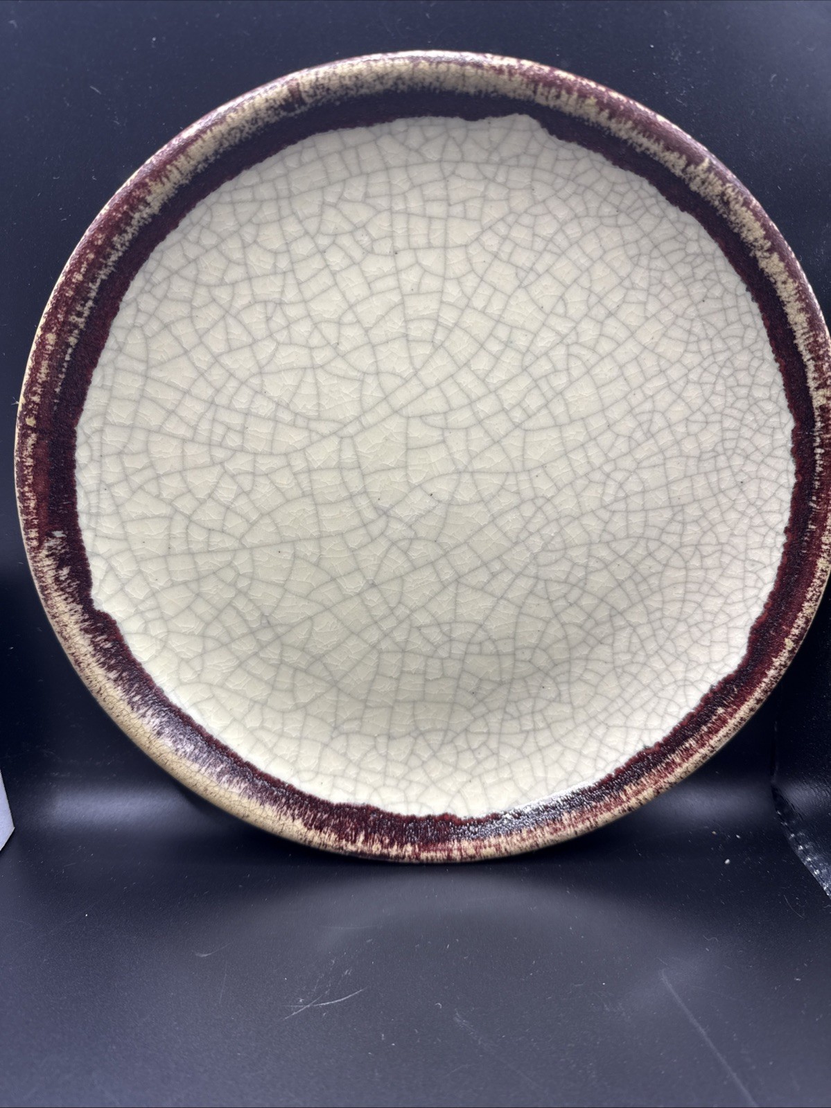 Pier 1 Crackle Collection Dinner Plate 9-1/4 Inches Set of 4 New Unique Plates