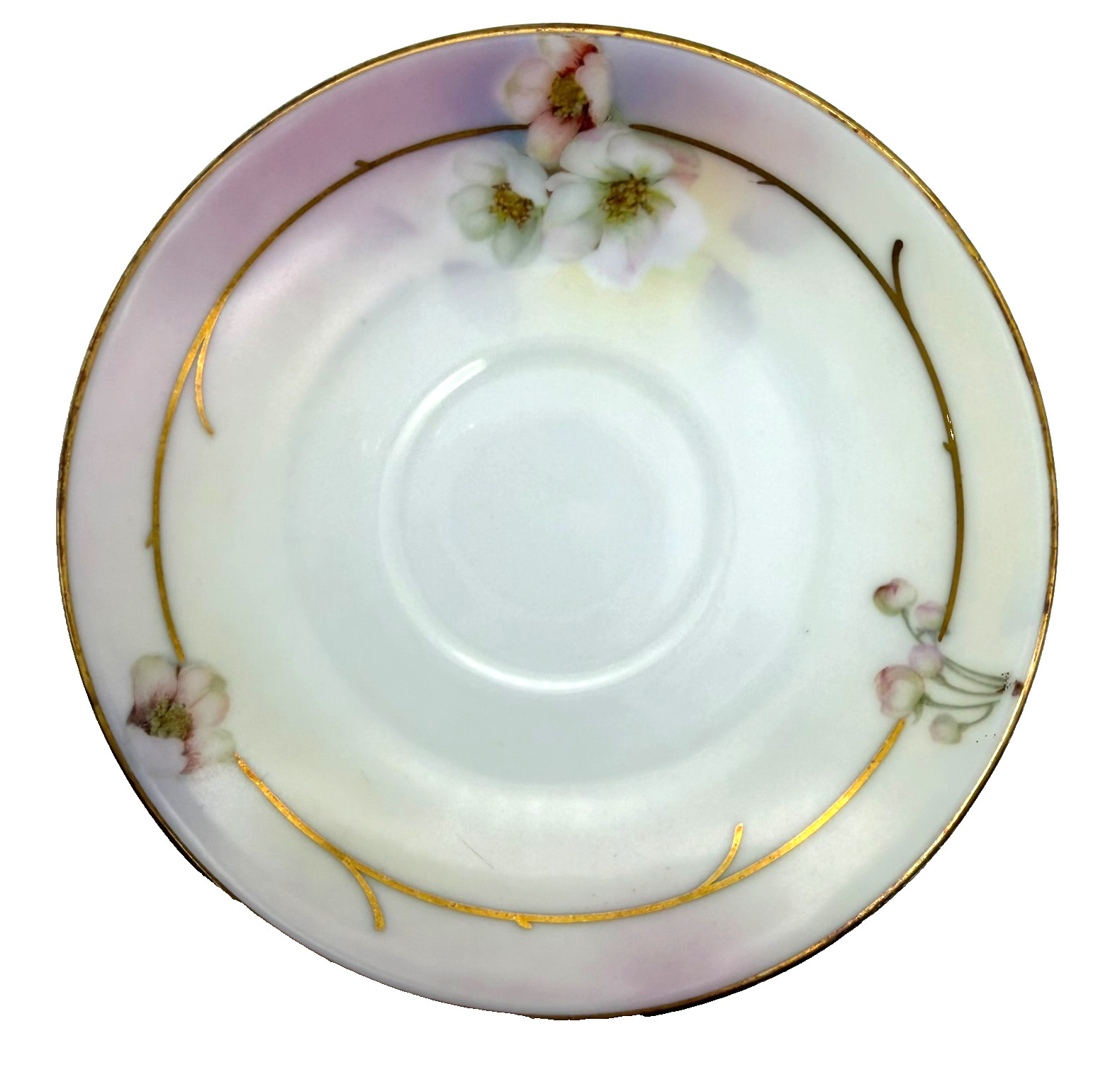Circa 1905-1931 Royal Rudolstadt Prussia Floral Teacup & Saucer Set
