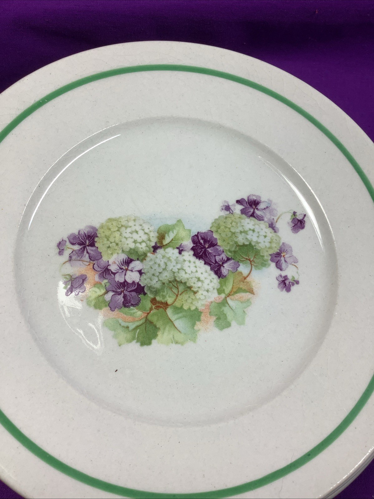 Set 8 Antique Semi Porcelain 6 1/4” Dessert Plates Hydrangea & Violets 410