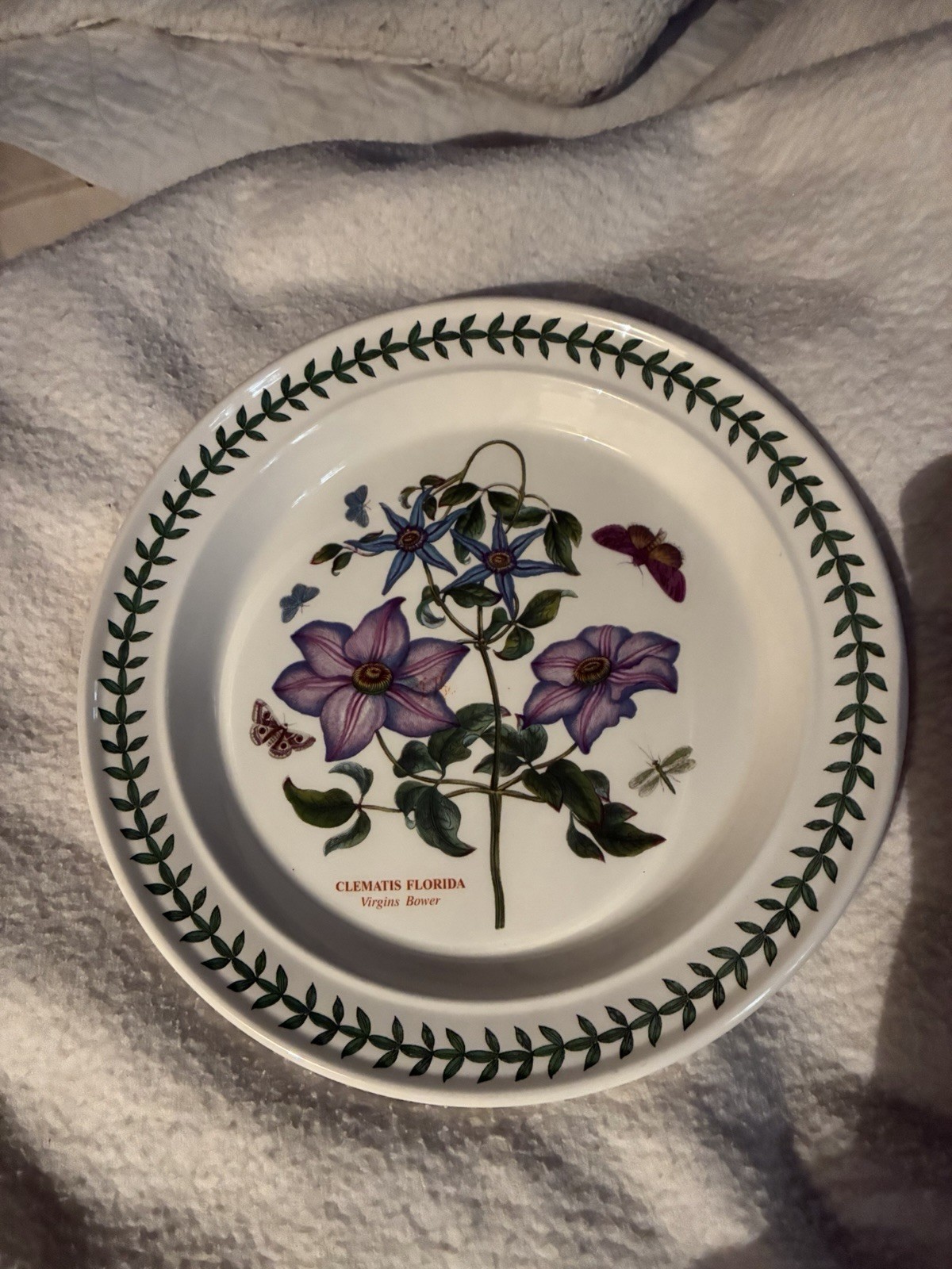Portmeirion Botanic Garden 10.5” Dinner Plate Clematis Florida/ Virgin Bower
