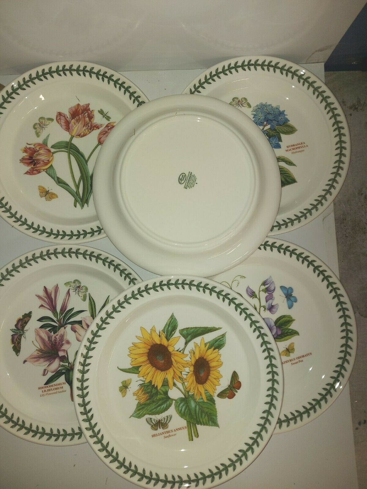 Portmeirion botanic garden set of 6 assorted dinner plates—4601—