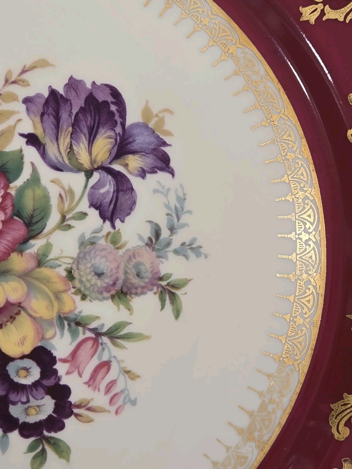 6 Rosenthal Ivory China 10.5″ Plates Maroon Gold Border Floral Center Scalloped