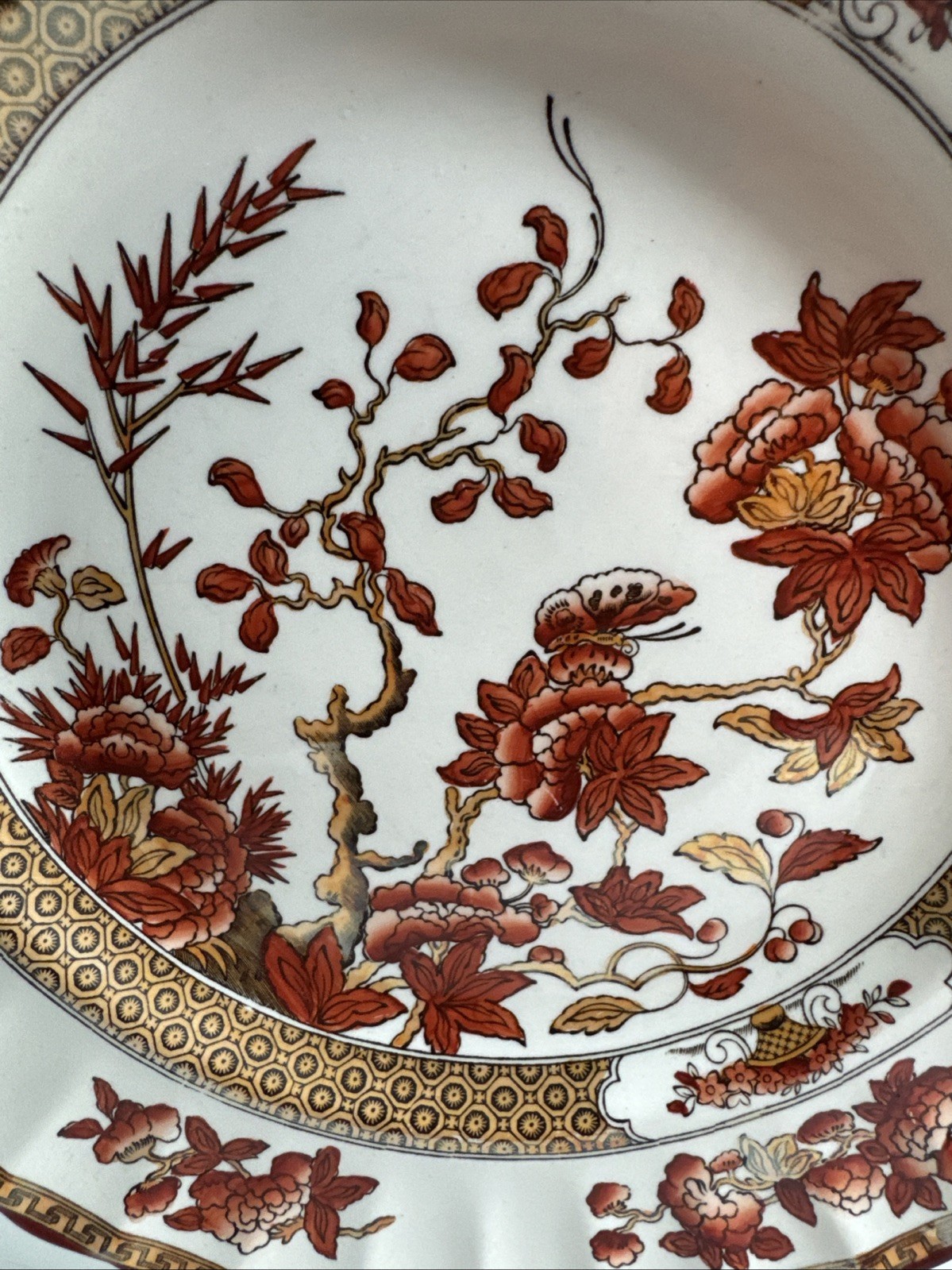 Copeland Spode Indian Tree 10 3/8″ Dinner Plate Orange Rust Scallop Trim England
