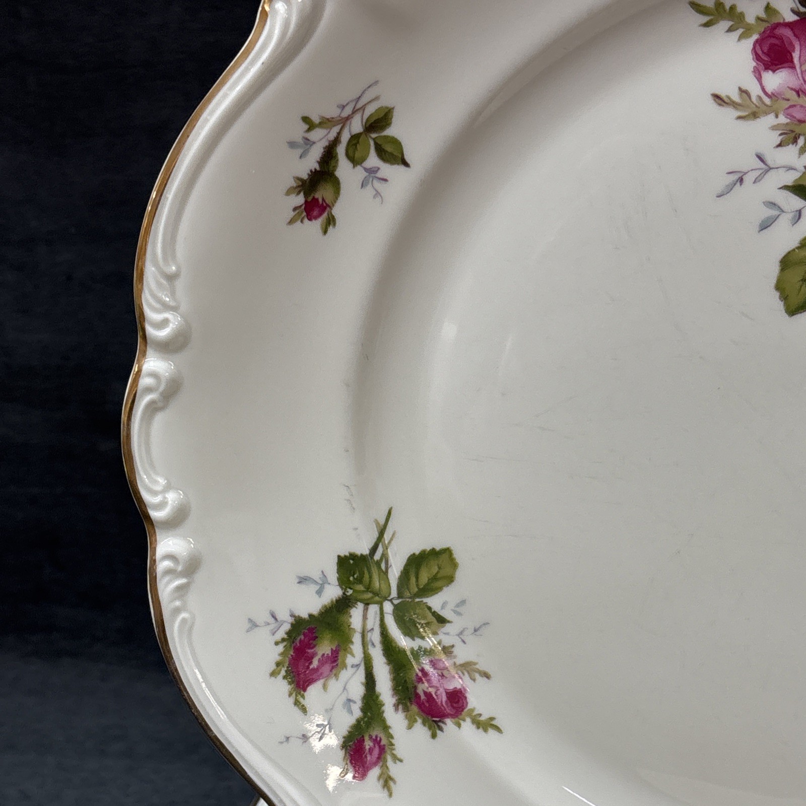 Rosenthal Continental MOSS ROSE POMPADOUR (Ivory) Dinner Plate 10 1/8 Inches