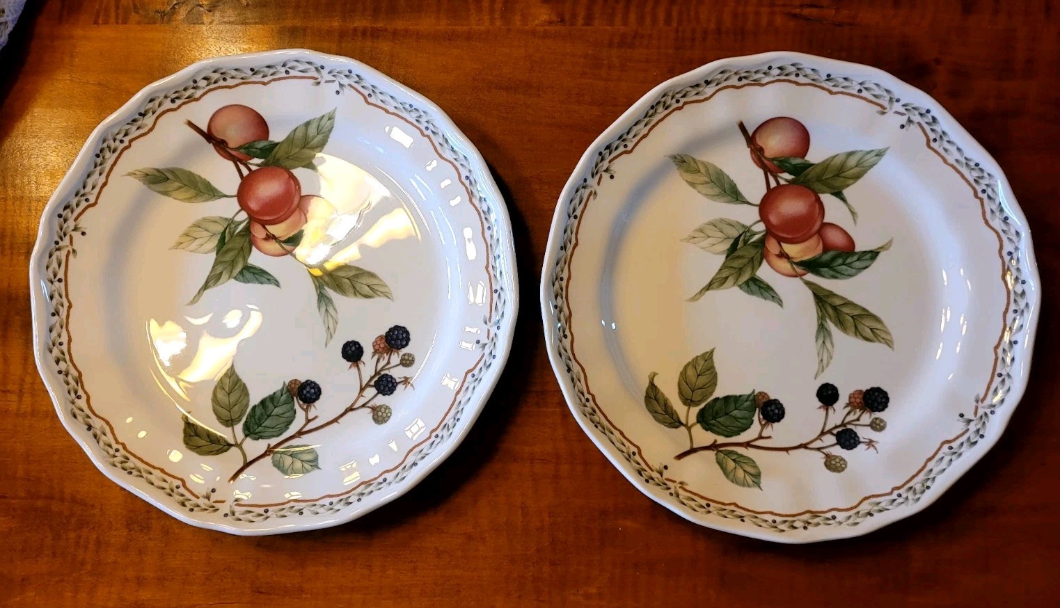 2 Noritake Casual Gourmet “GOURMET HARVEST” Dinner Plates 10-5/8″