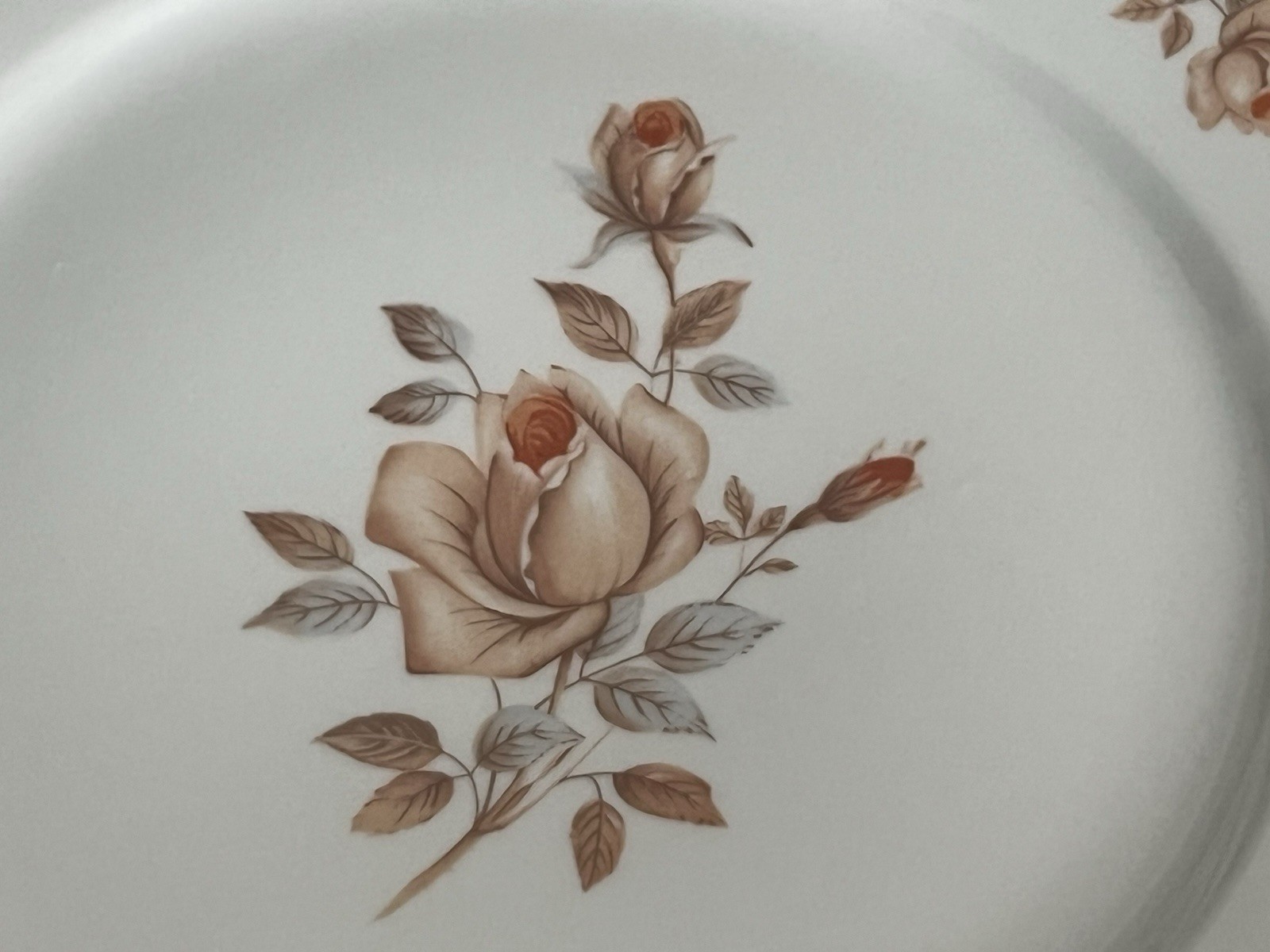 Vintage 10 Pieces Bohemian China Alpin Rose Porcelain Dining Set For 2