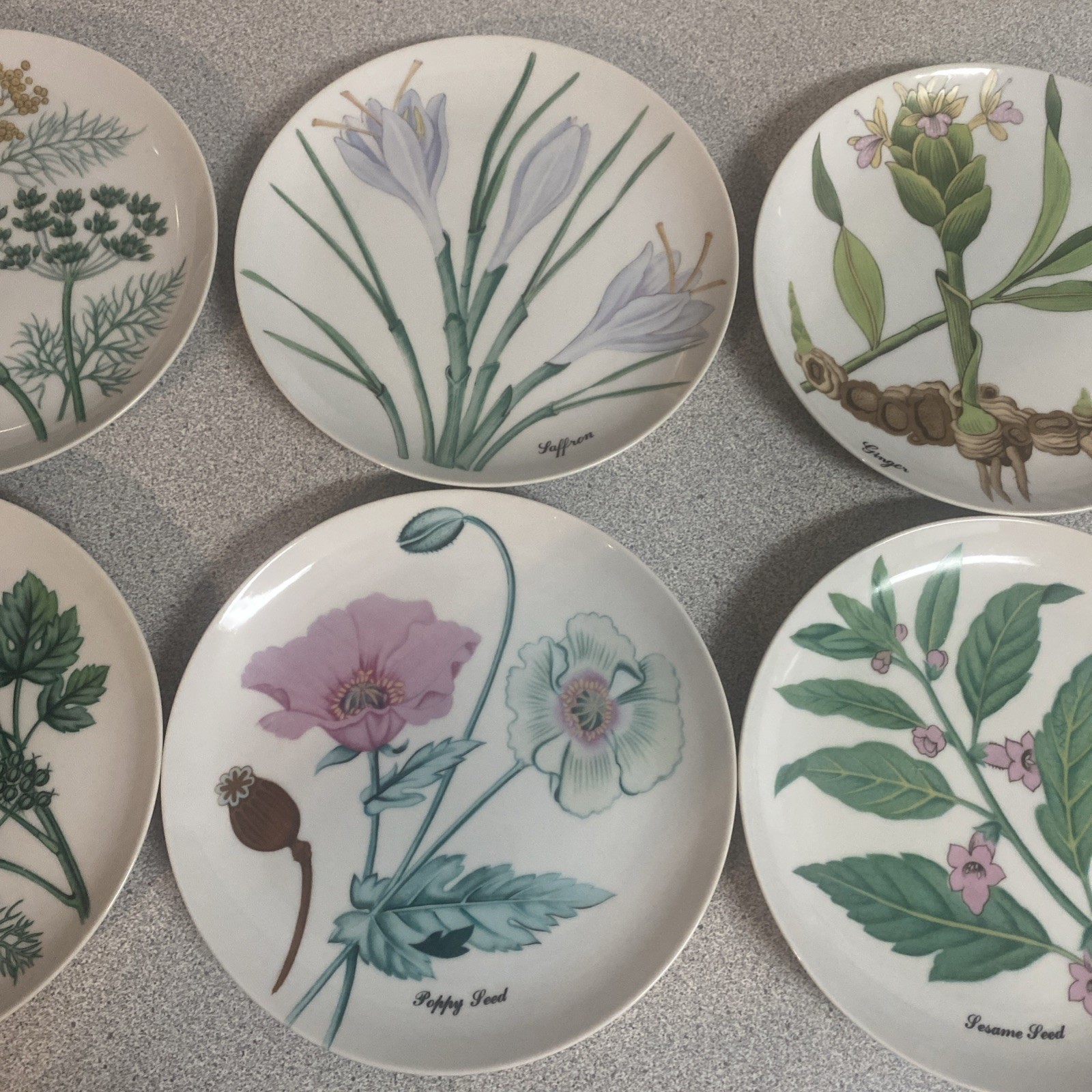 Vintage Set of 6 Neiman Marcus Horchow Botanical Herb Plates 7 3/8” Japan