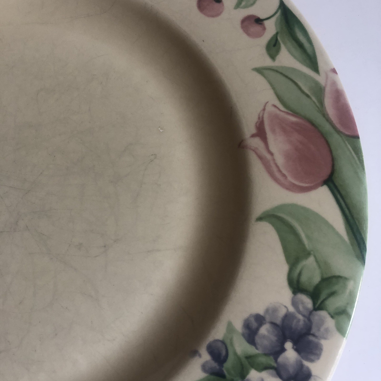 Pfaltzgraff Garden Party Impressions Dinner Plate 10.5″ Sold Separate 8 Availabl
