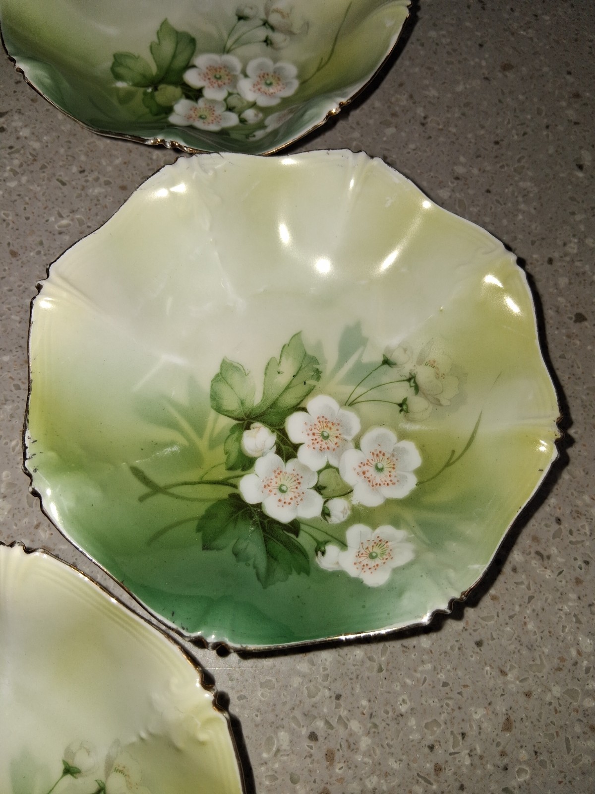 RS PRUSSIA GERMANY ANTIQUE BERRY SET (DOGWOOD PATTERN) Gorgeous patina