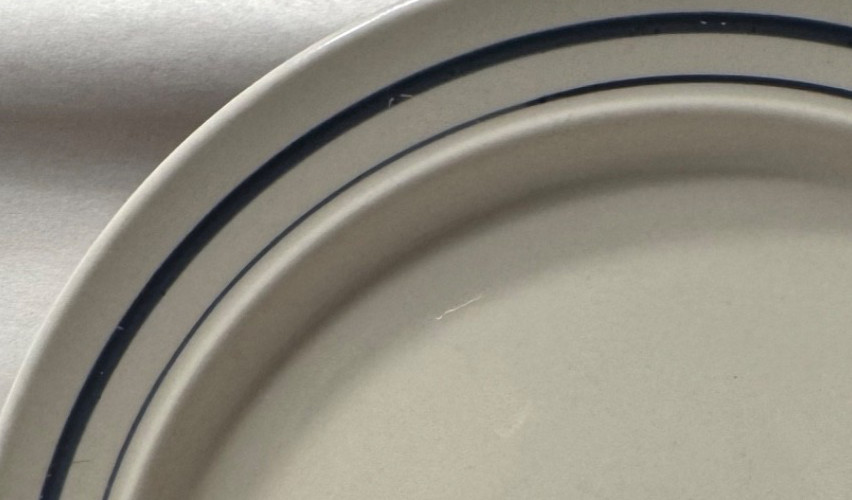 Vintage Newcor 4028 Satellite Cobalt Blue 1992 Stoneware 10.5 Inch Plate