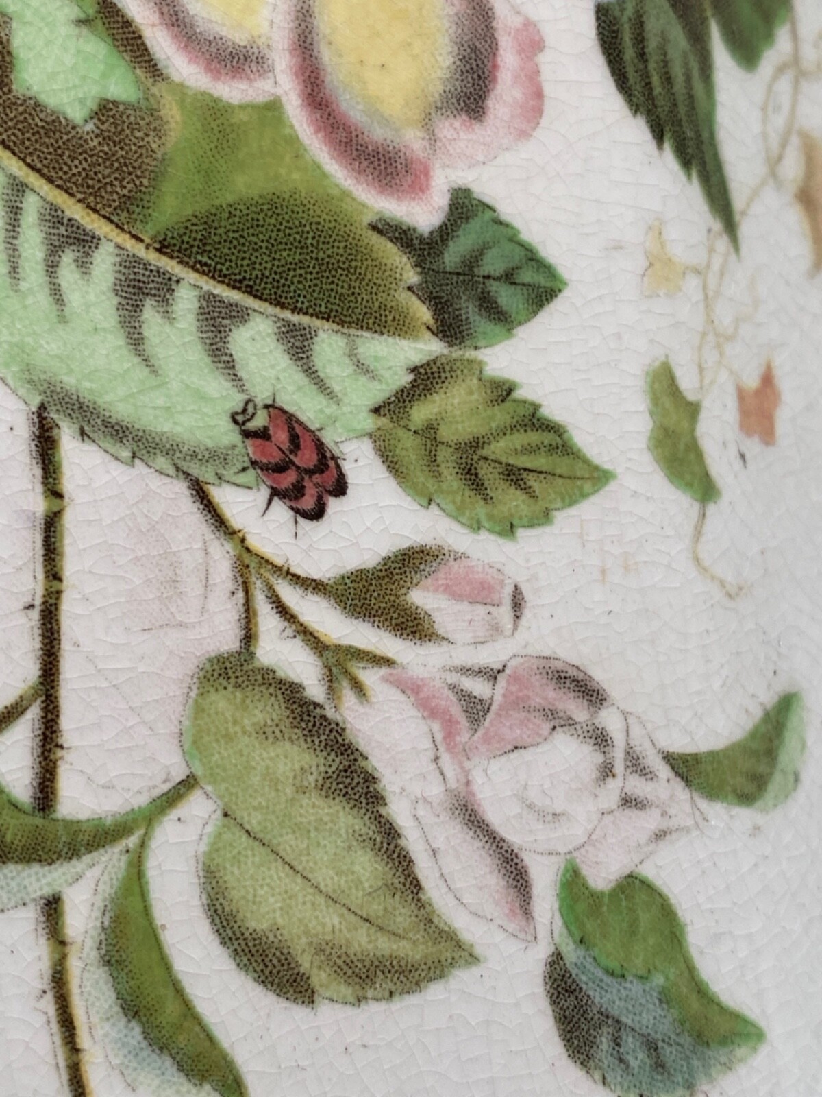 1880’s Aesthetic Movement Very Large Platter White with Florals, Insects Designs