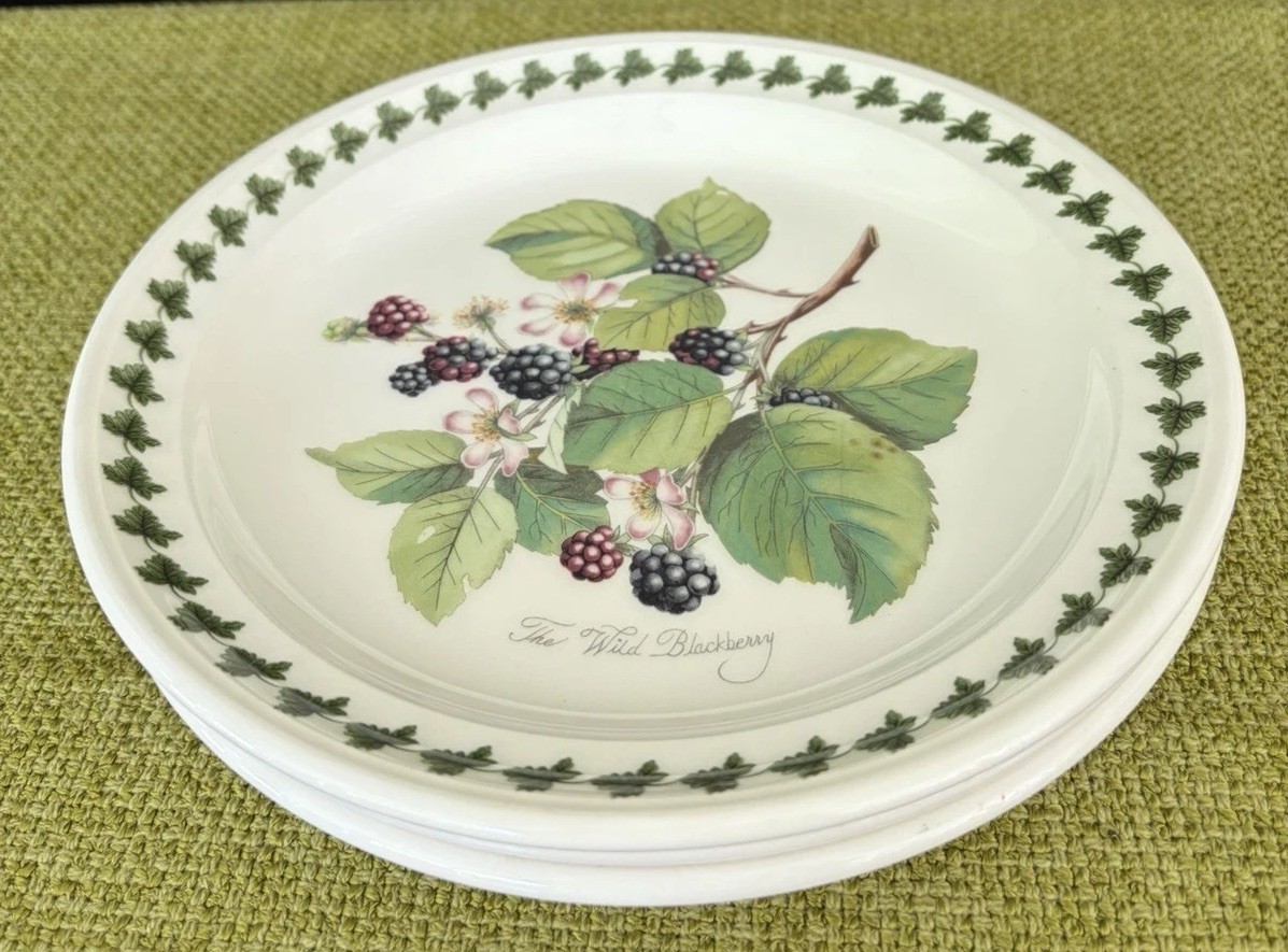 3 Portmeirion Pomona 8/58” Salad Plates w/Border-Fruit Patterns Made In England