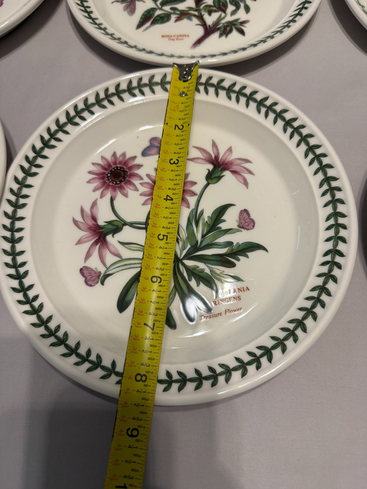 Portmeirion Botanic Garden Salad Plate Lunch England