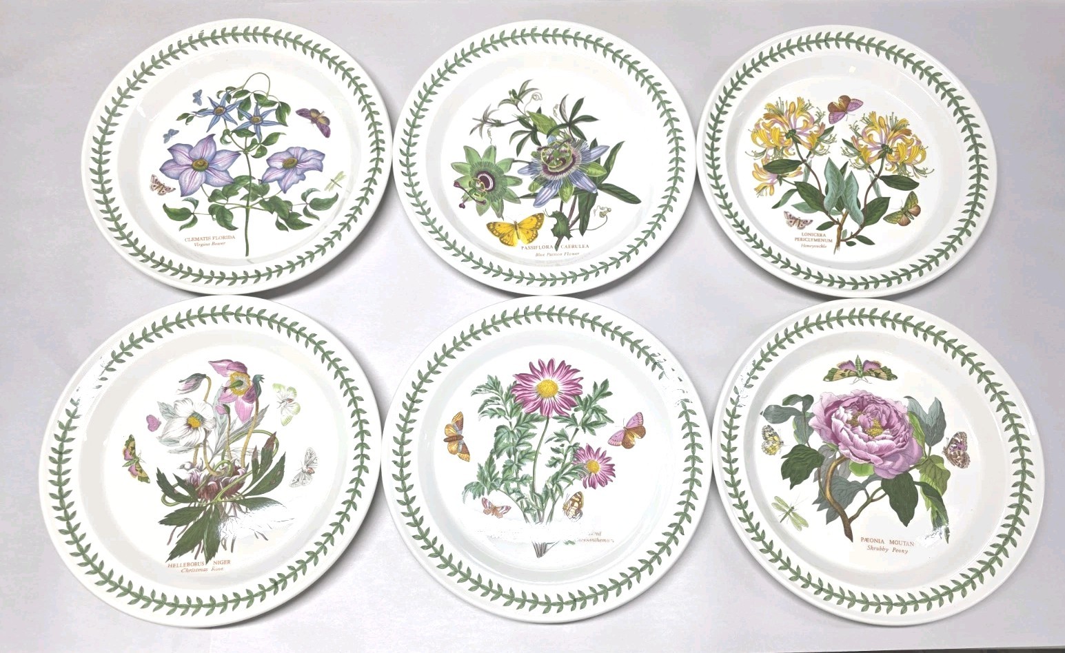 1972 Portmeirion Botanic Garden Set of 6 Rimmed Dinner Plates 10.5” EXC