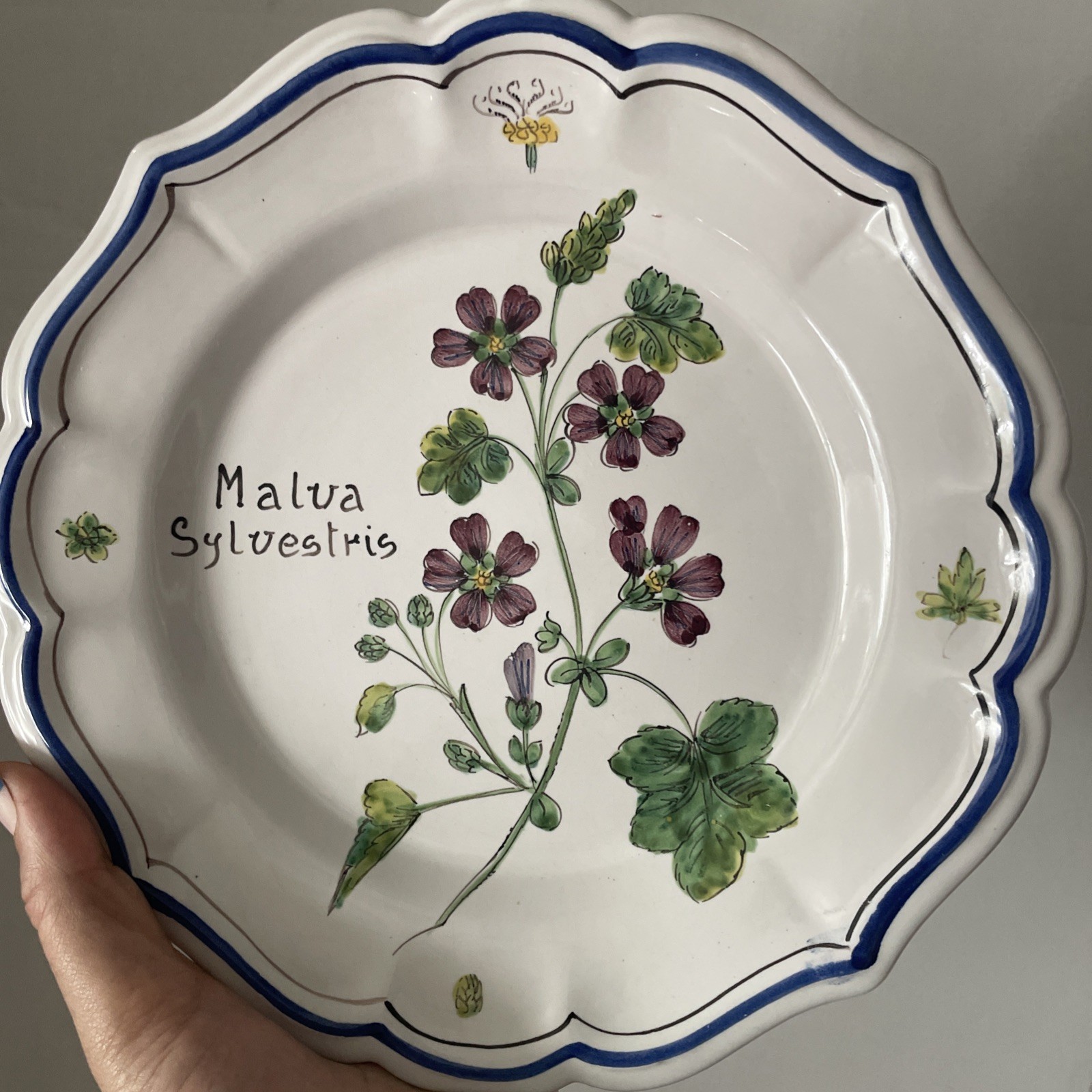 Vintage ND Dolfi Montelupo Italy Floral Wall Plates Set of 2