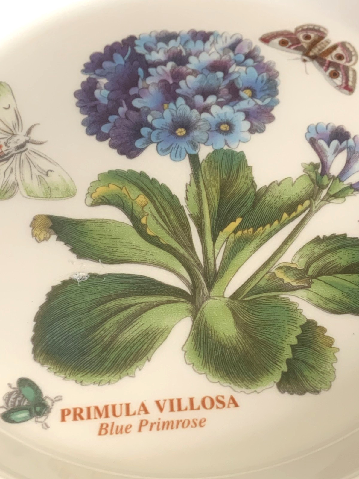Portmeirion Botanic Garden 7.25″ Bread & Butter Dessert Plates Mix Set 4