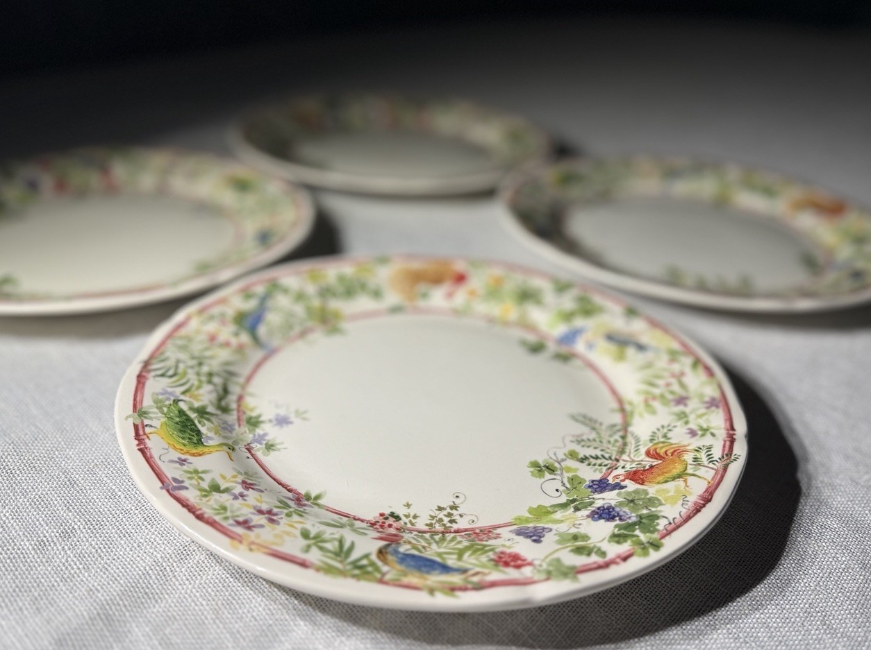 Gien France Villa Medicis Lunch Plates 9.25” Set 4 + 2 Baking Ramekins Faience
