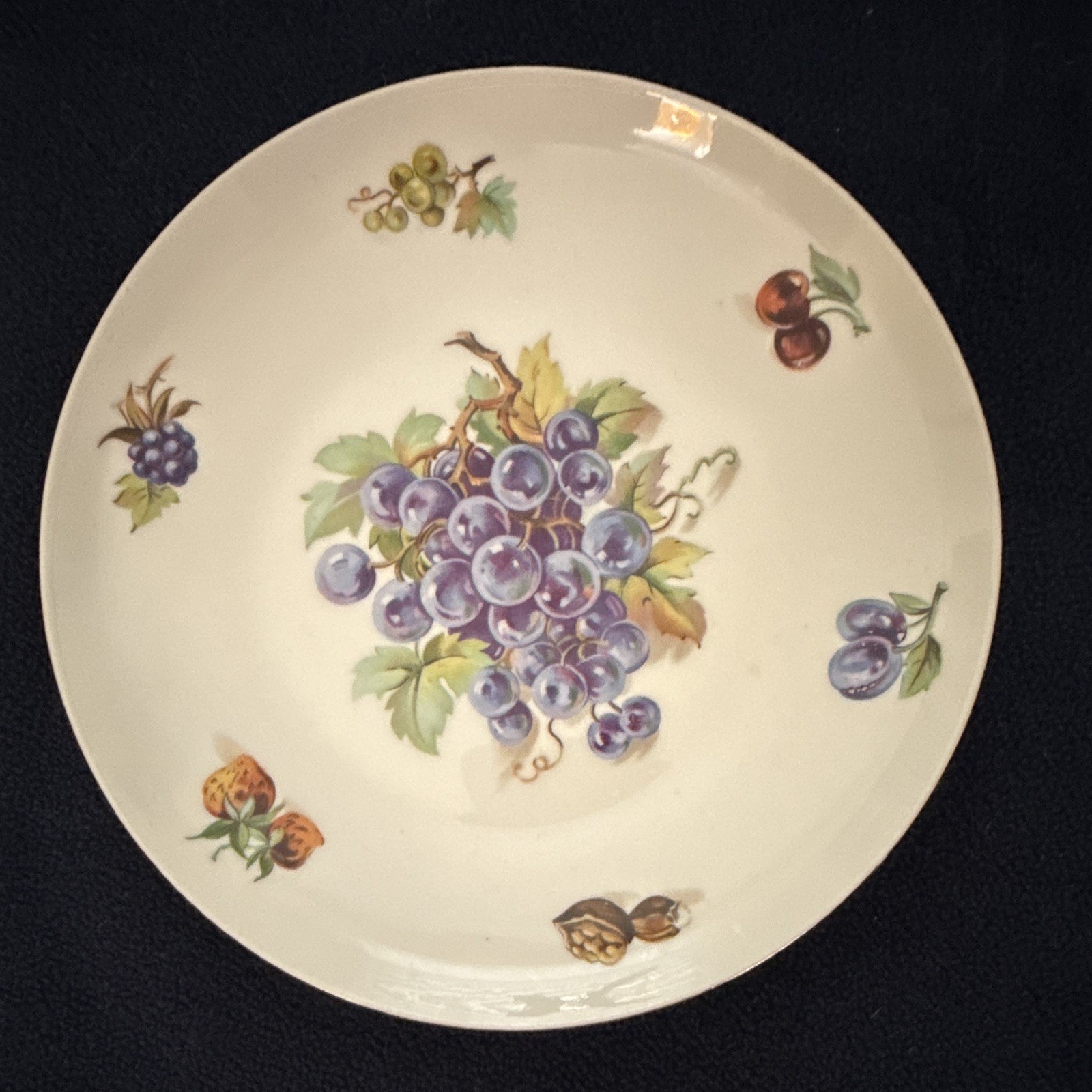 Tuscport Fine China Fruit Pattern Dinner Plates Set of 4, Round, Czechoslovakia