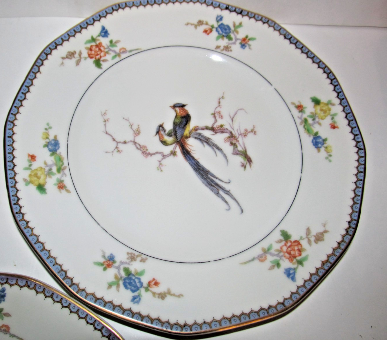 THEODORE HAVILAND Limoges France CHAMBORD Bird of Paradise Dinner Plates (GBP)