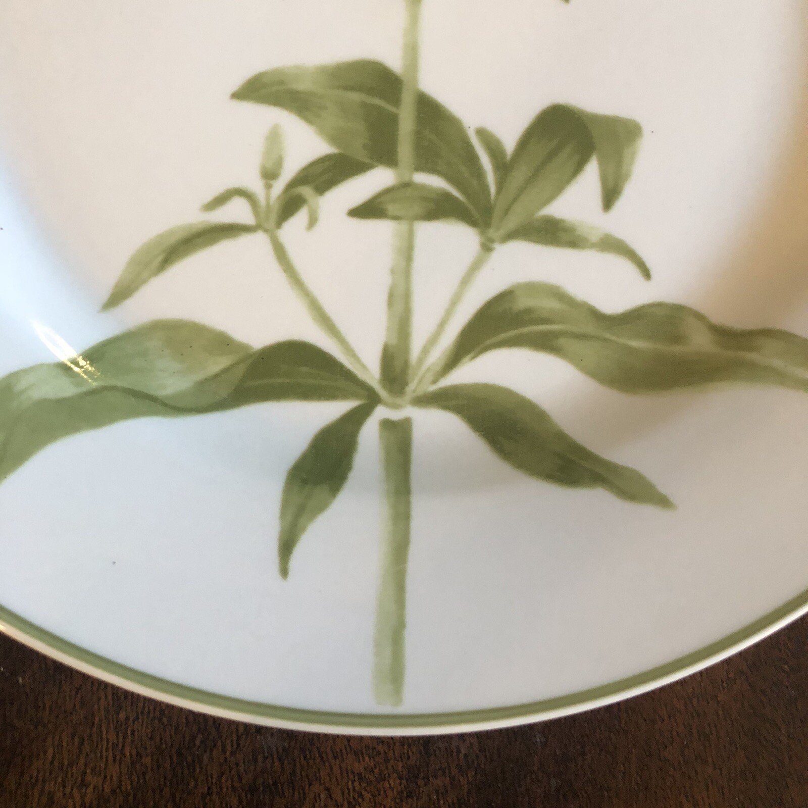 Fairfield Garden Verbena Dinner Plate 10.25″ 1 Of 6 Sold Separately