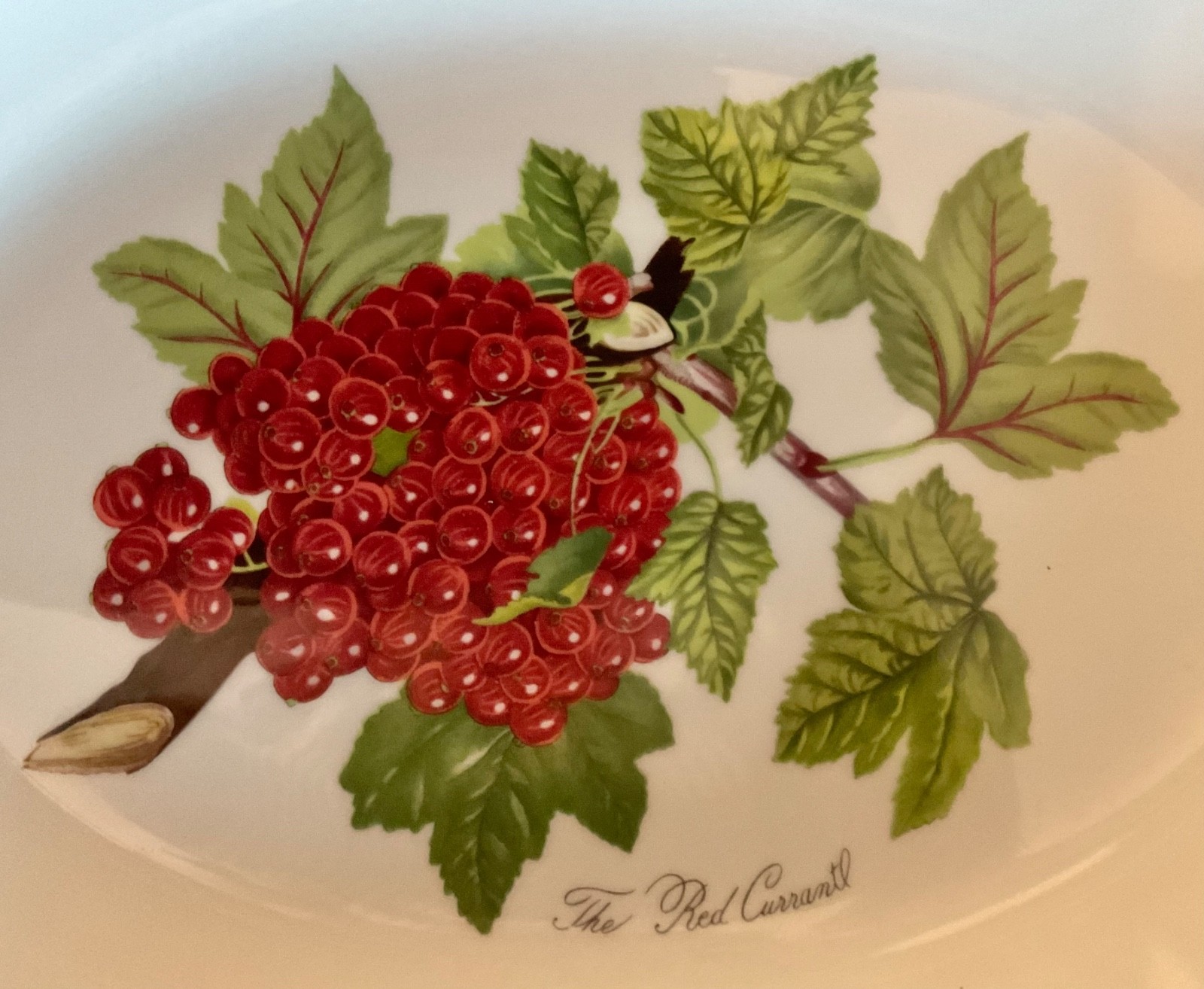 Portmeirion Pomona Oval Steak Platter 10.75” RED CURRANT New with Tag