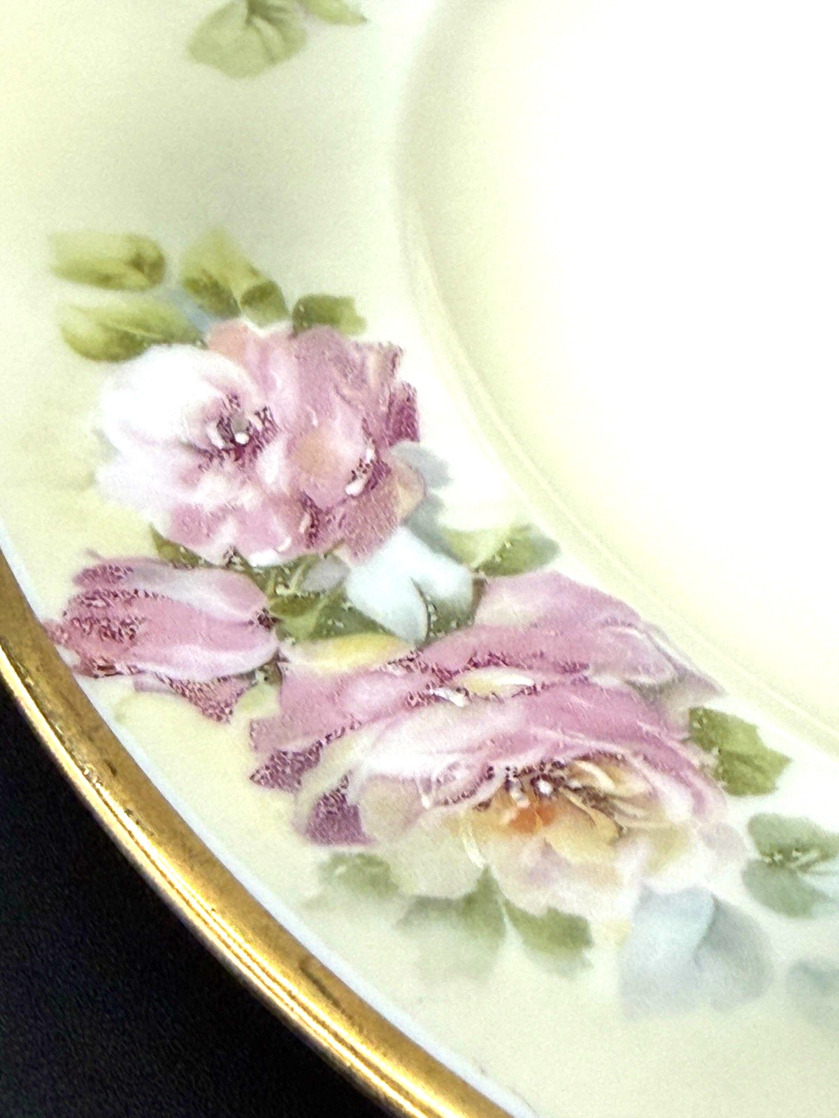 Antique Hutschenreuther Selb Bavaria HAND PAINTED PLATE Tatler Lawson Trenton