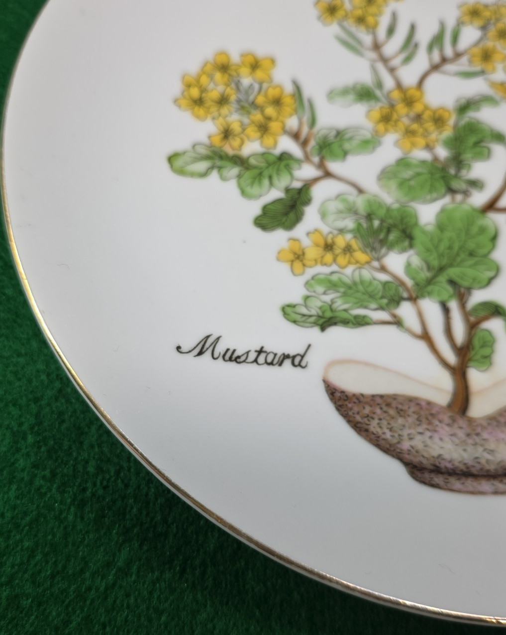 Vtg Herb Garden Wall Hanging Plates Set 4 Japan Parsley Mustard Sage Chives Deco