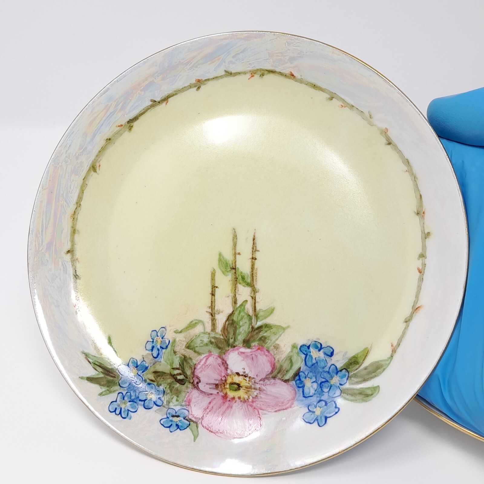 Hutschenreuther 6″ Porcelain Plates set of 6 handpainted florals lustre rim Selb