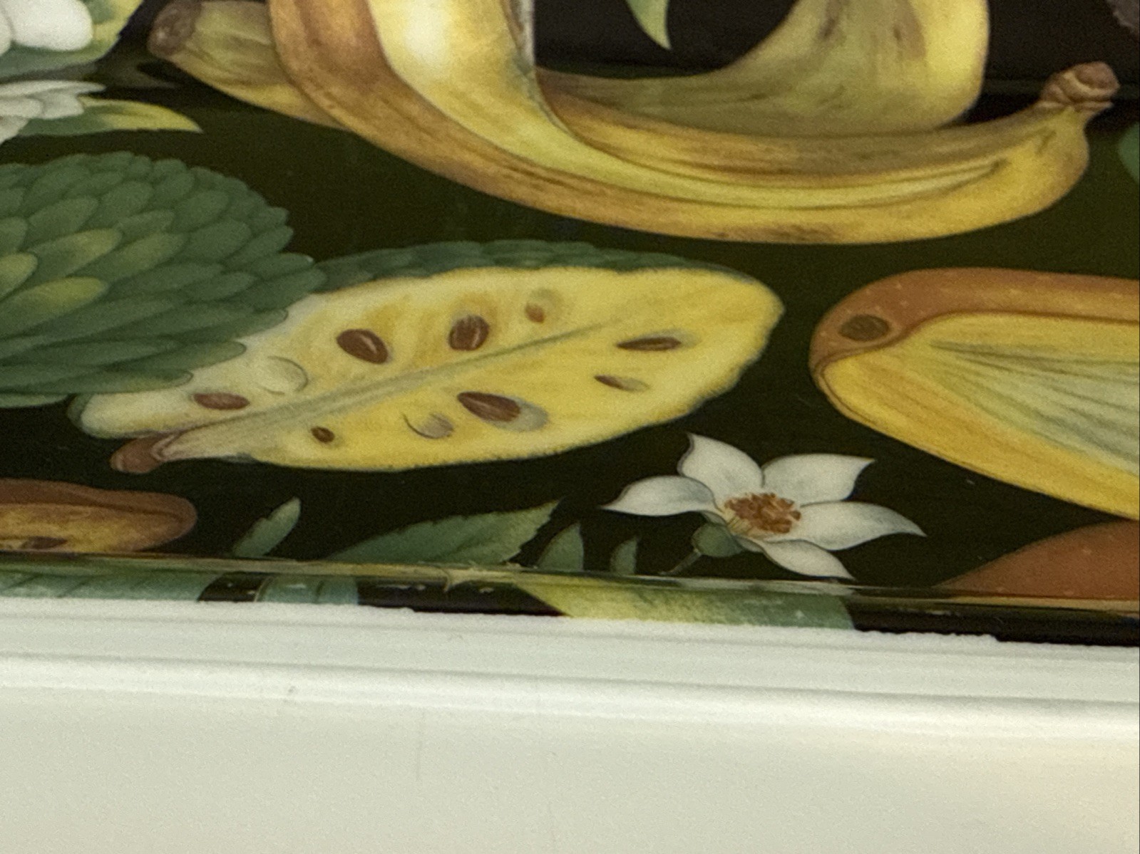Rare Vintage Philippe Deshoulieres Limoges Tropical Fruits Porcelain Tray 16”