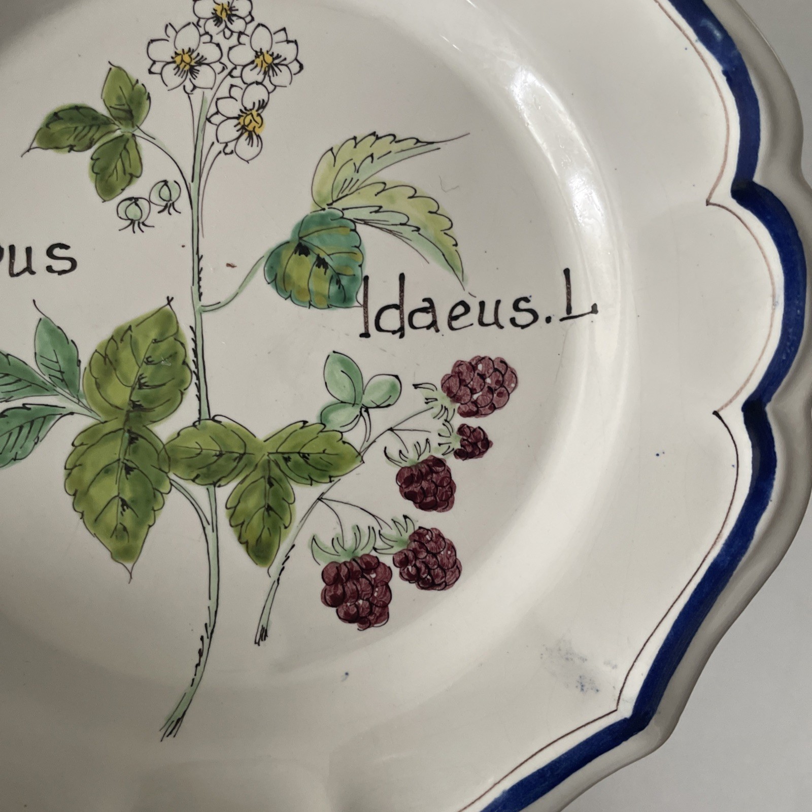 Vintage ND Dolfi Montelupo Italy Floral Wall Plates Set of 2