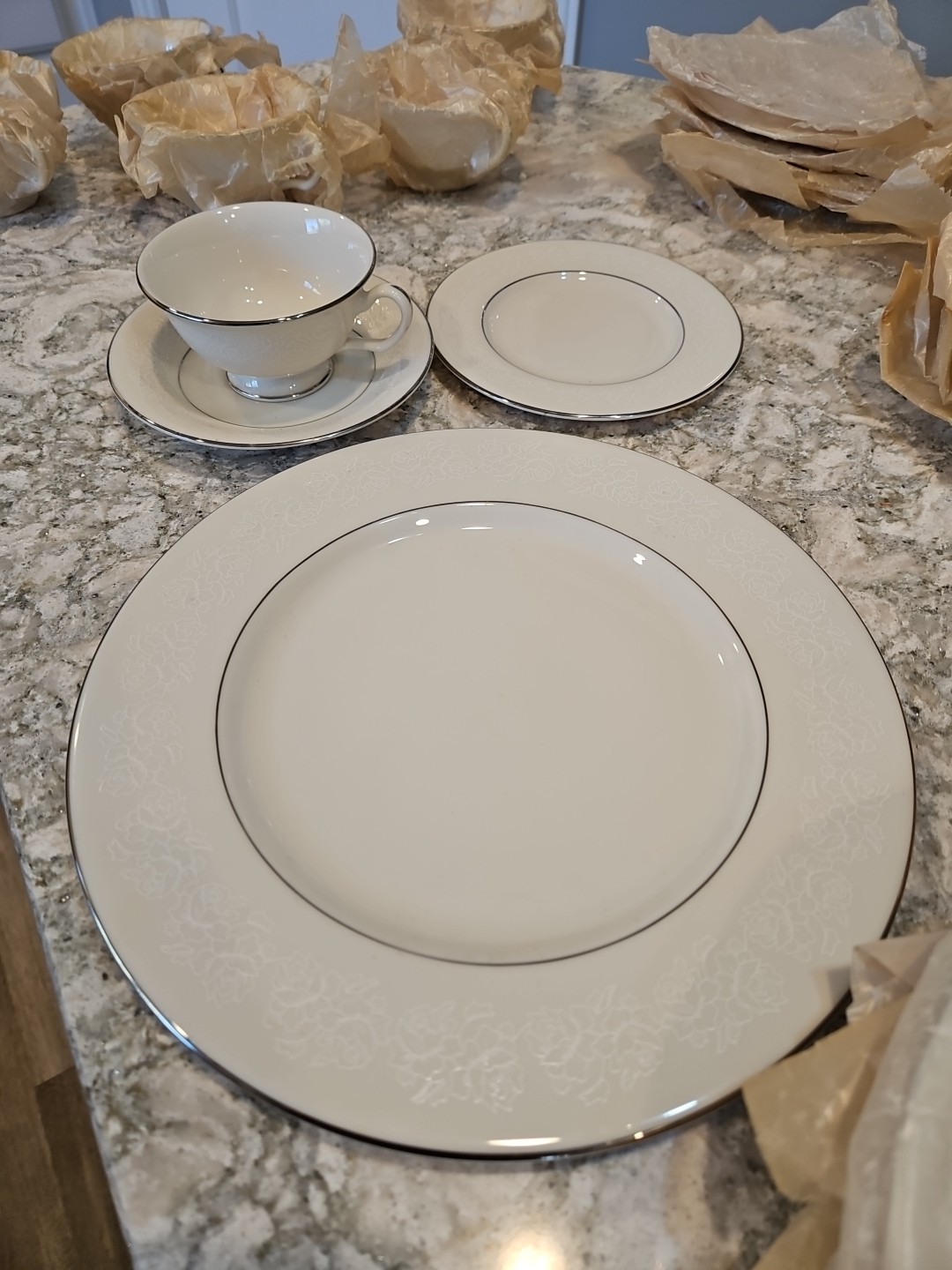 Cathedral Garland Rose Platinum Trim 6 Place Settings 24pc Total Unused 1960s