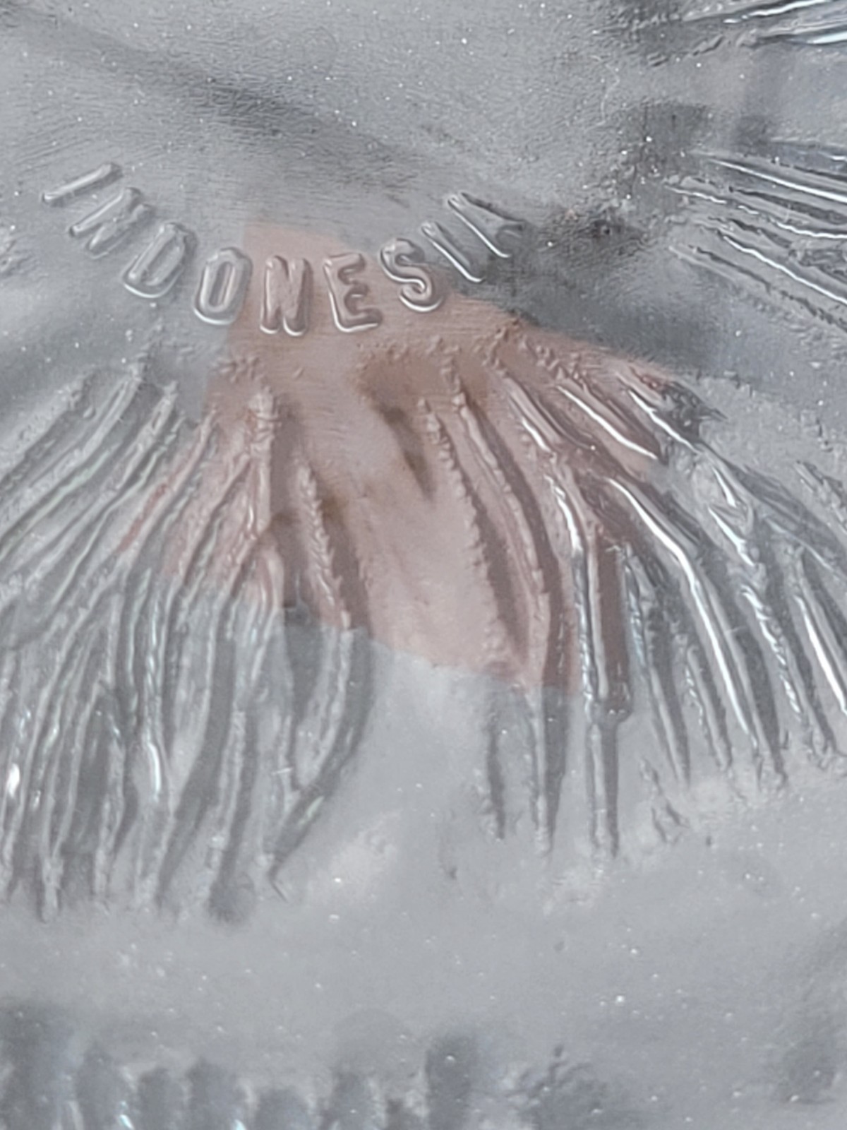 Kig (Indonesia) Vintage Clear Textured Fleur Leaves 10 inch 4.Dinner Plates
