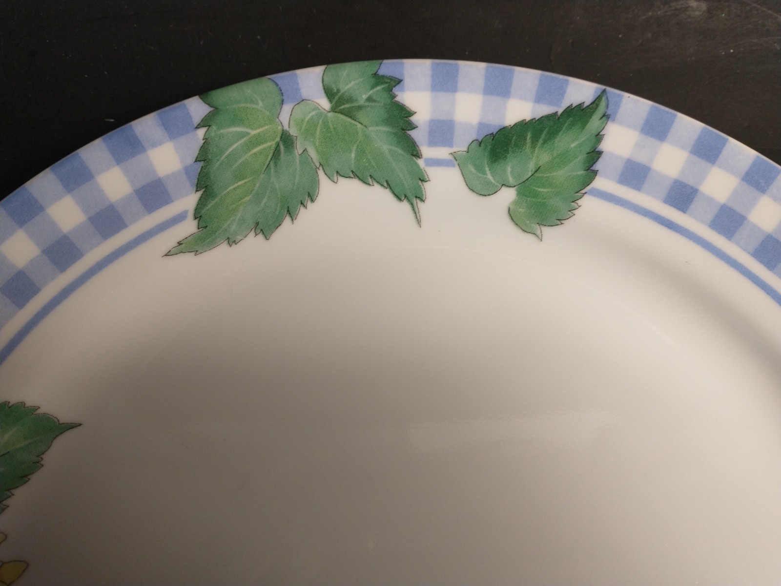 Corelle Sunsations Dinner Plate 10.25″ wide