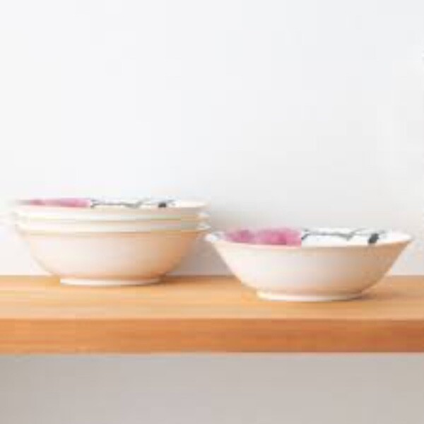 NORITAKE YAE 4968 Set Of 4 Cereal Coupe Bowls 6 1/2” Wide 15.5 OZ. NIB MINT