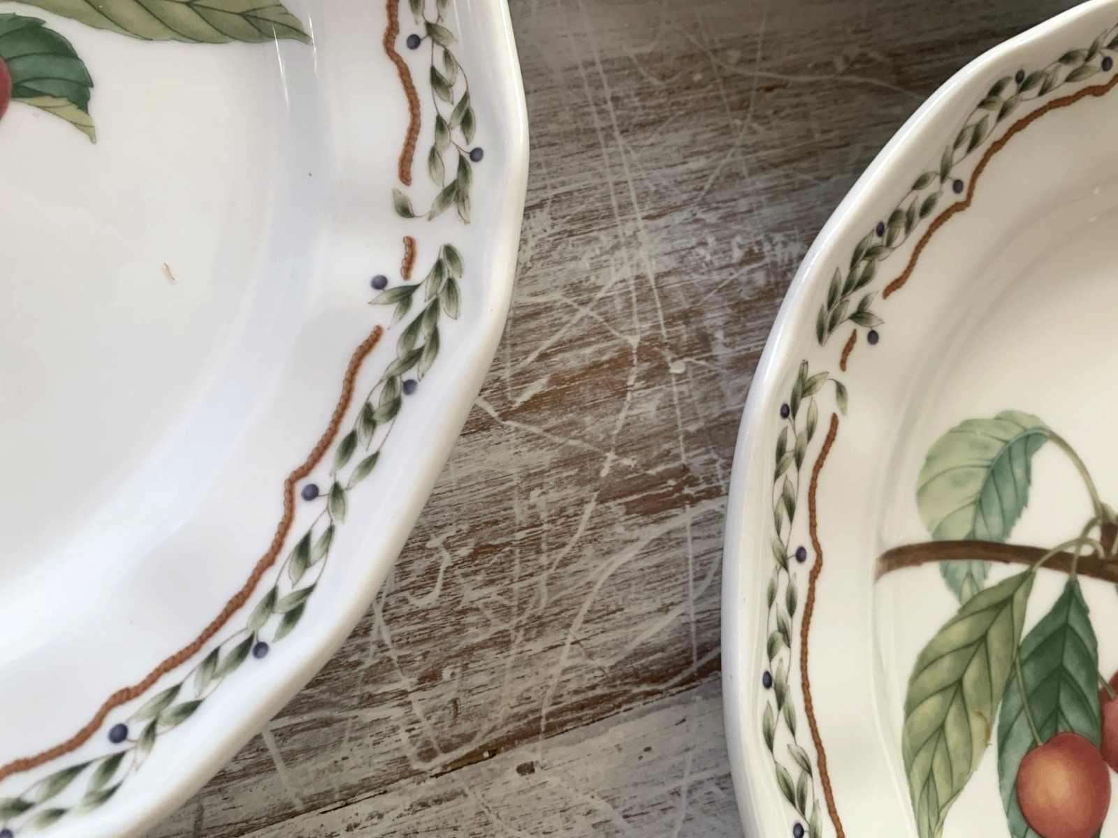 Noritake Casual Gourmet HARVEST Salad Dessert Plates Fruit 8.25″ Laurel Set 5