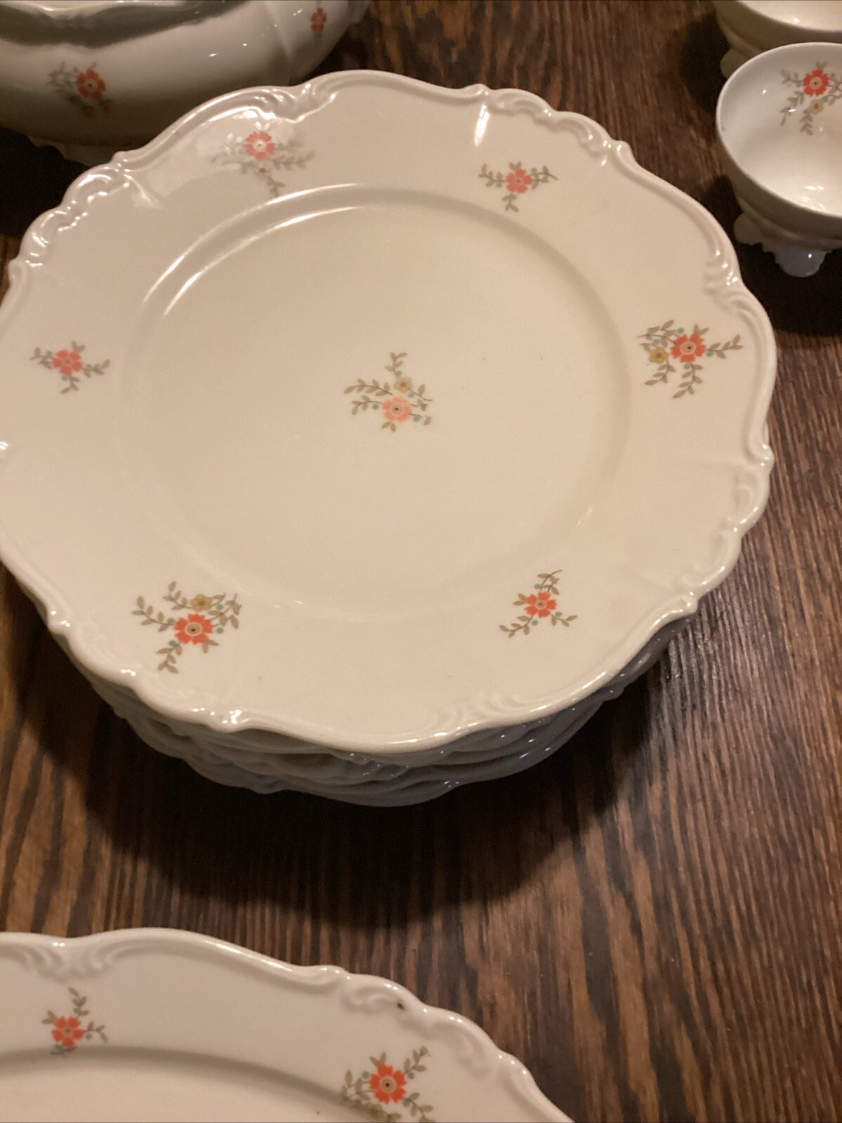 Edelstein Bavaria #6688 Edelstein Maria Theresa Dinnerware 72 Pieces Beautiful