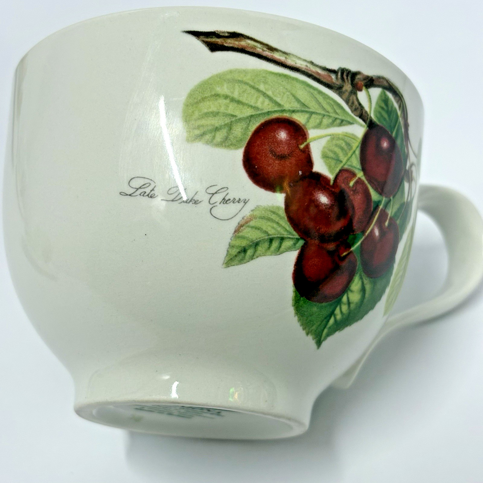 Portmeirion Pomona Traditional Footed Tea Coffee Cups & Saucers Gr Britain Set 4