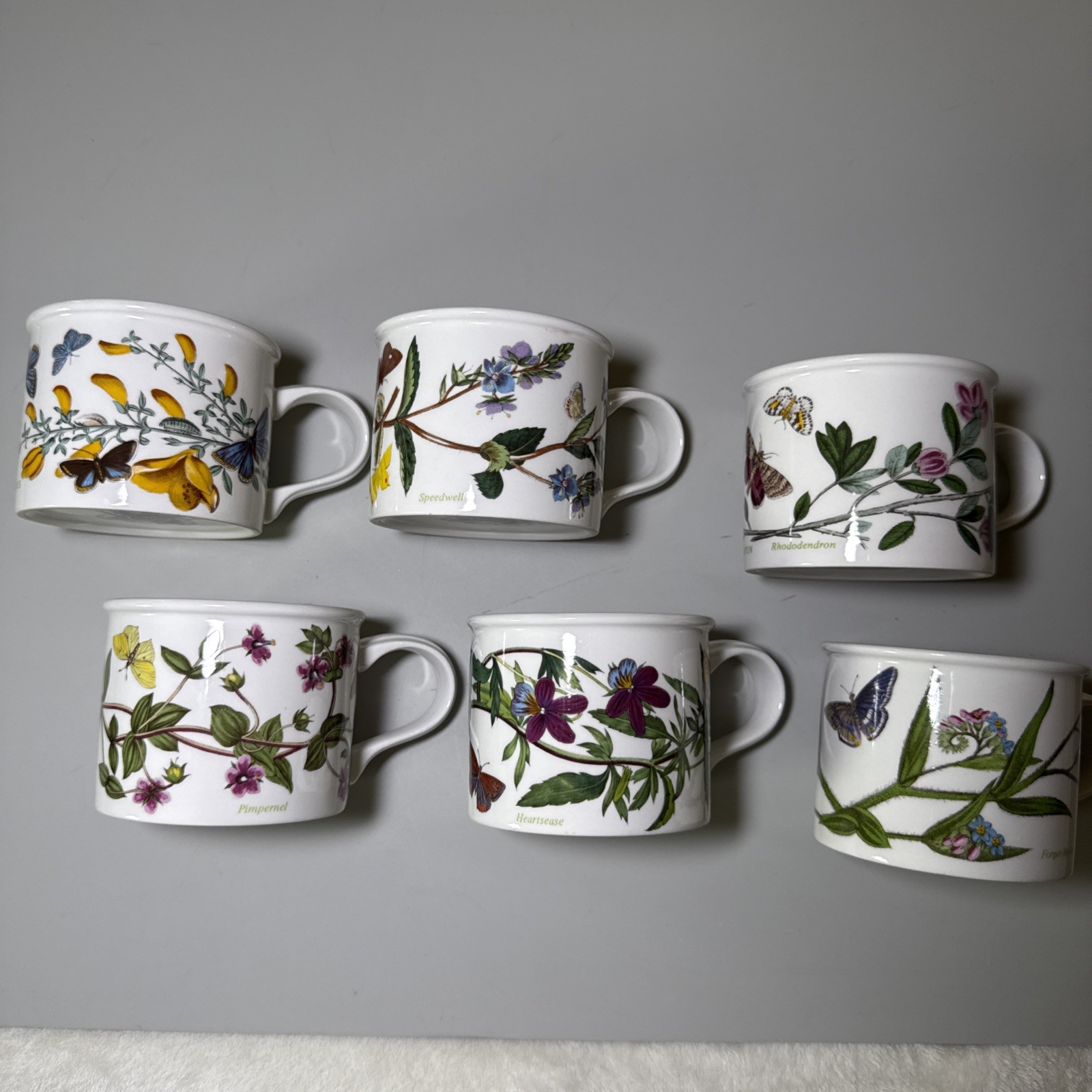 Portmeirion Botanic Garden Set of 6 Flat Cups & Saucers Made in England Assorted