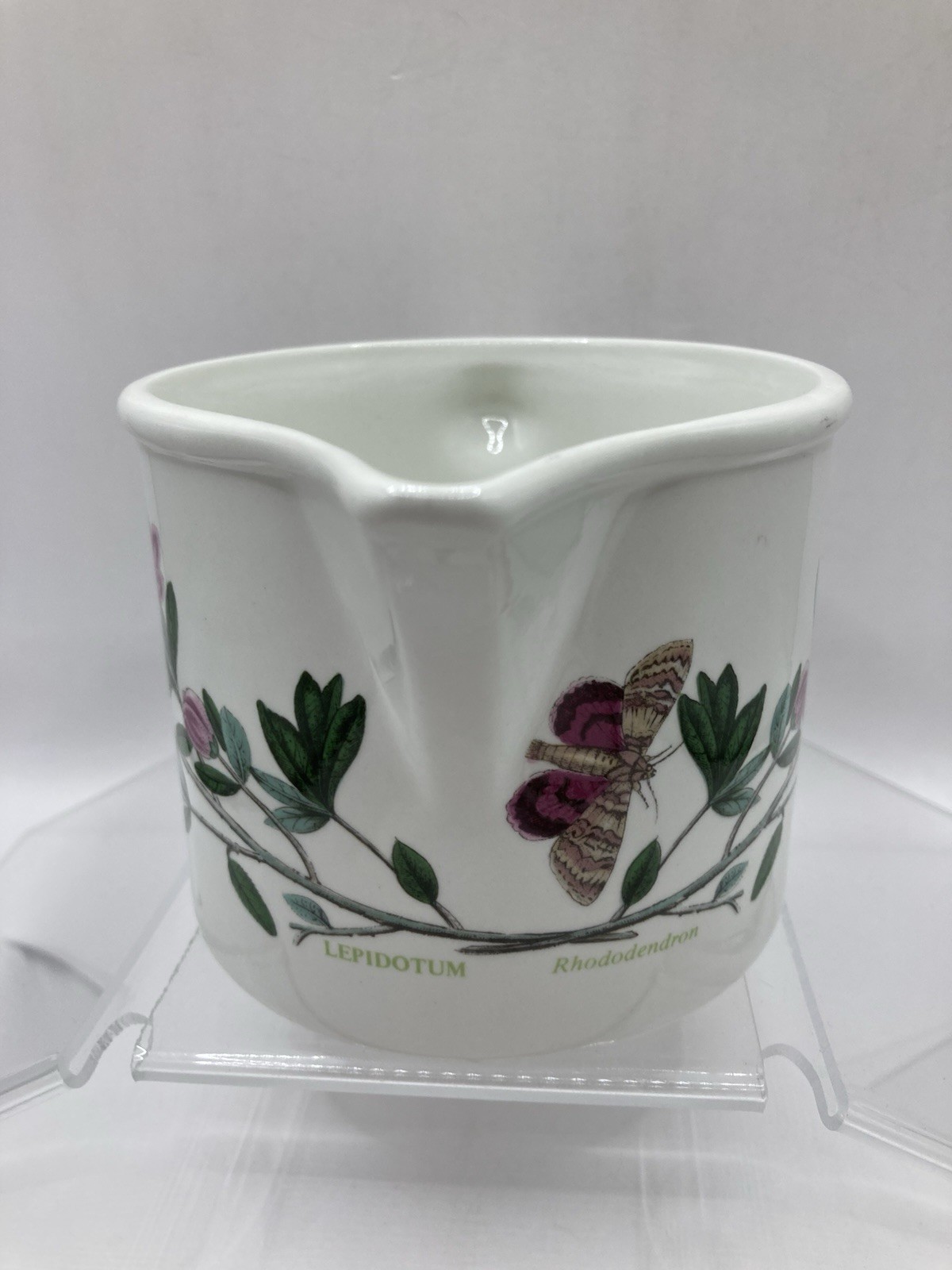 Large Portmeirion Botanic Garden Creamer Rhododendron Lepidotum 3.5″ T X 5″ T