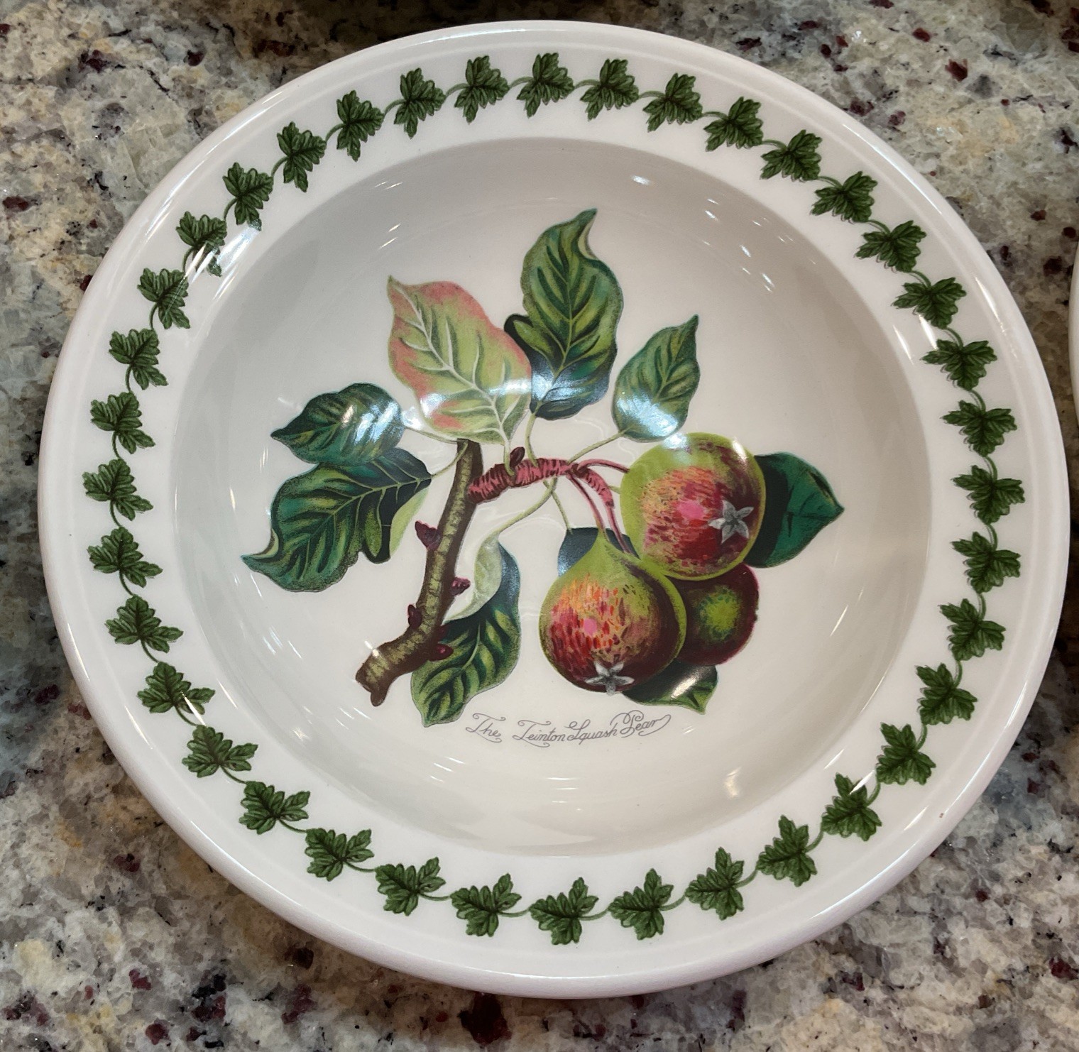 PORTMEIRION Set of 6 POMONA Rimmed Oatmeal Bowls – 6.5 in Made In England NWT