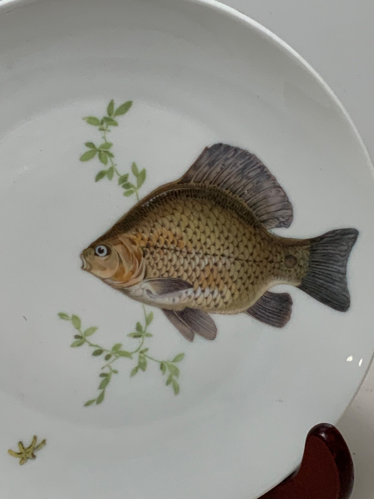Set of 2 Vintage Bareuther Waldsassen Germany Fish Salad Plates 7.75 in.