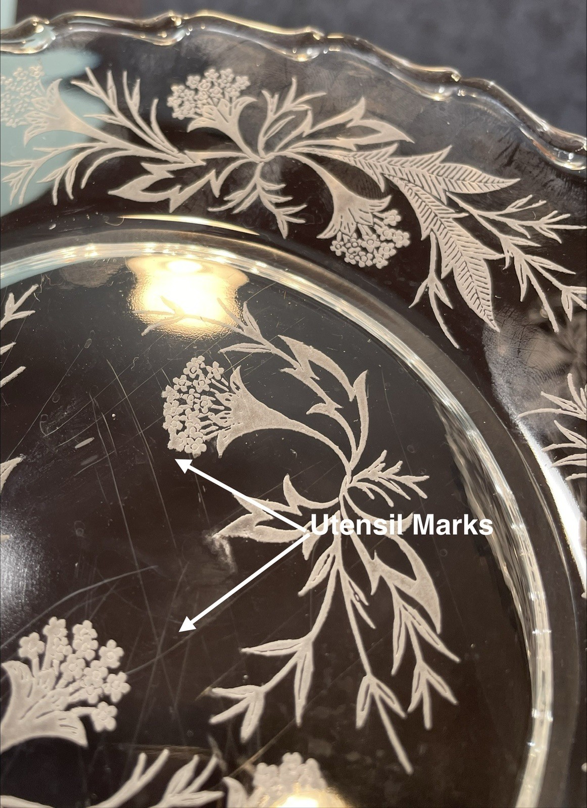 FREE SHIPPING Vintage 6 Fostoria HEATHER Salad Plates Clear Etched ElegantGlass