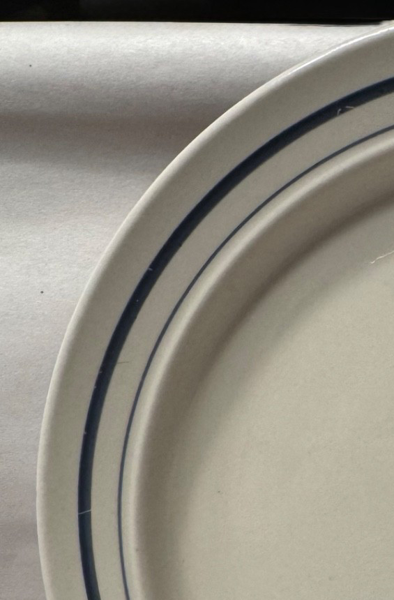 Vintage Newcor 4028 Satellite Cobalt Blue 1992 Stoneware 10.5 Inch Plate