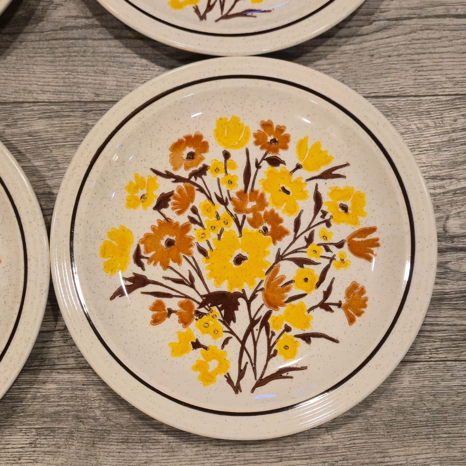 Vintage floral Stoneware dinner plates 1970s Botanical speckled Garden dining x4